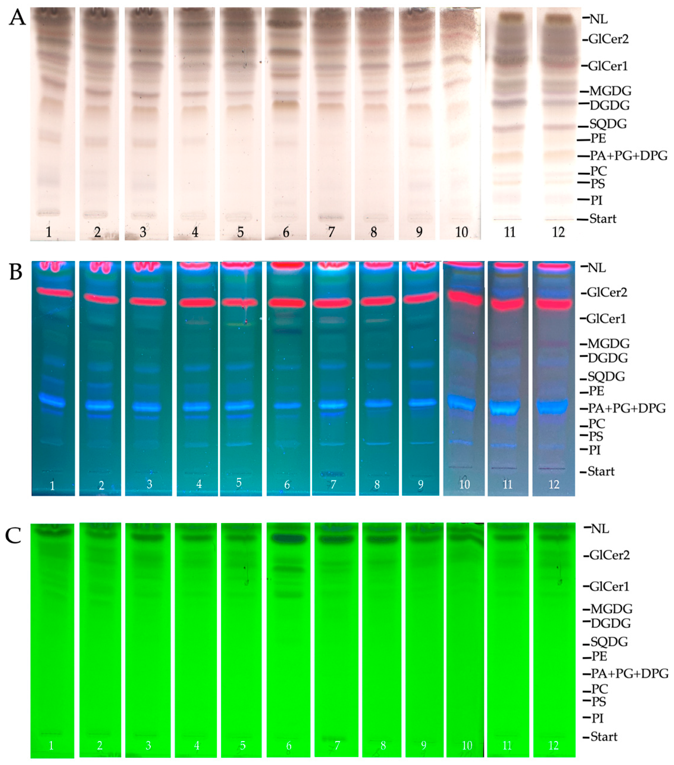 Ijms 26 00164 g003 Ijms 26 00164 g003