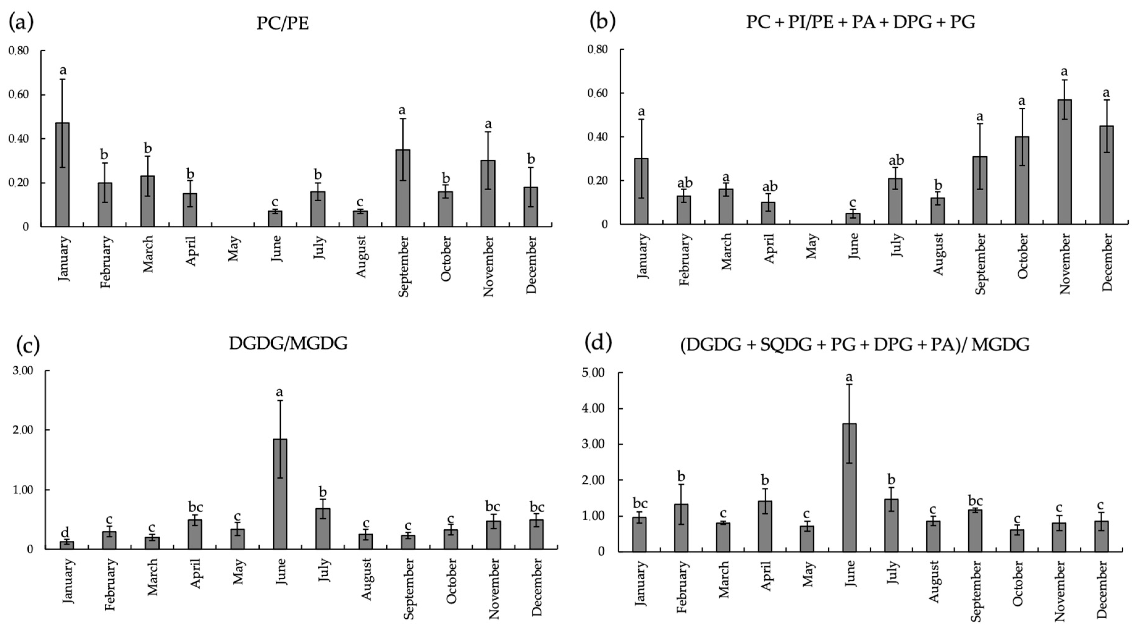 Ijms 26 00164 g005 Ijms 26 00164 g005
