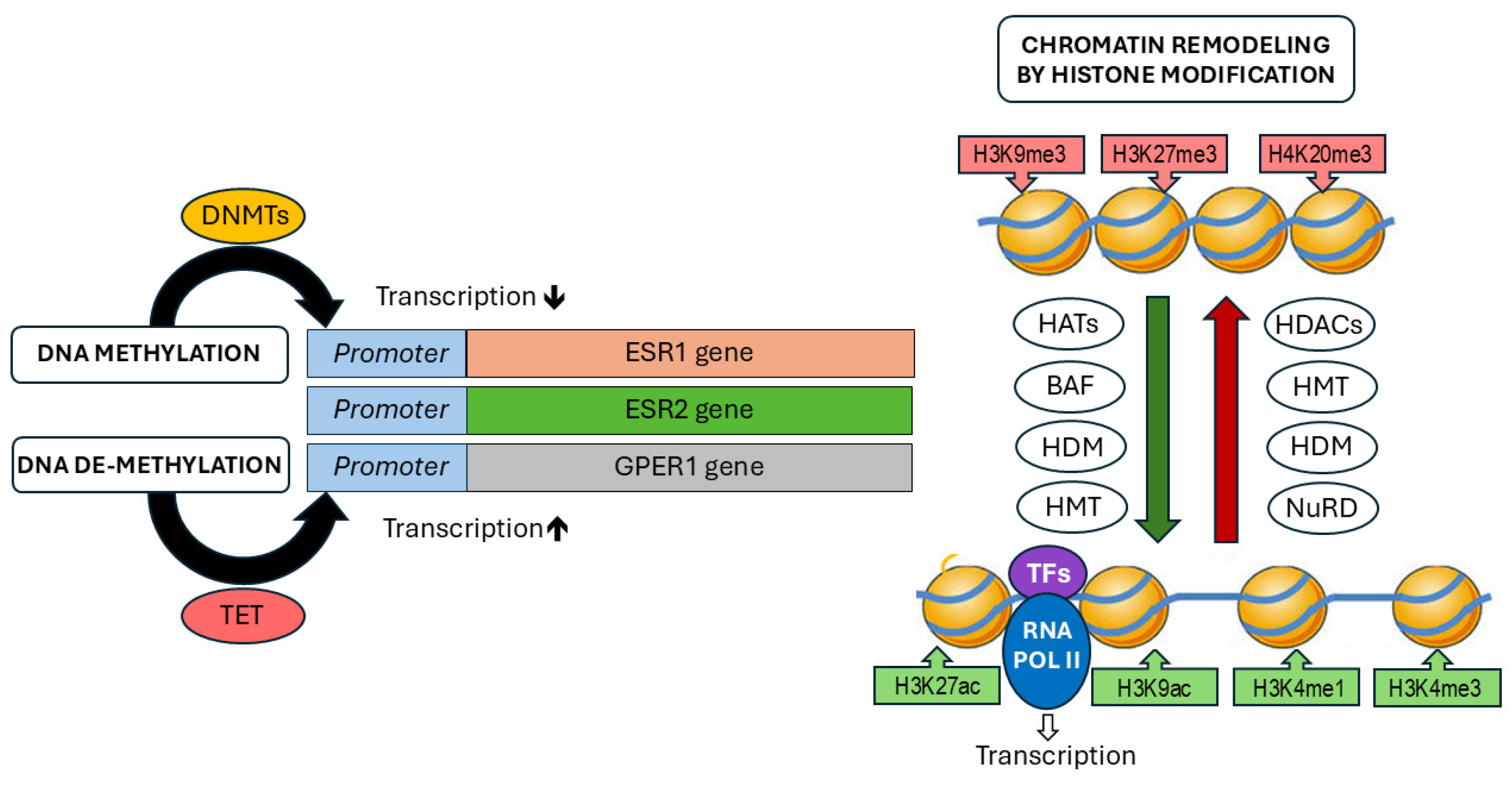 Ijms 26 00166 g002 Ijms 26 00166 g002
