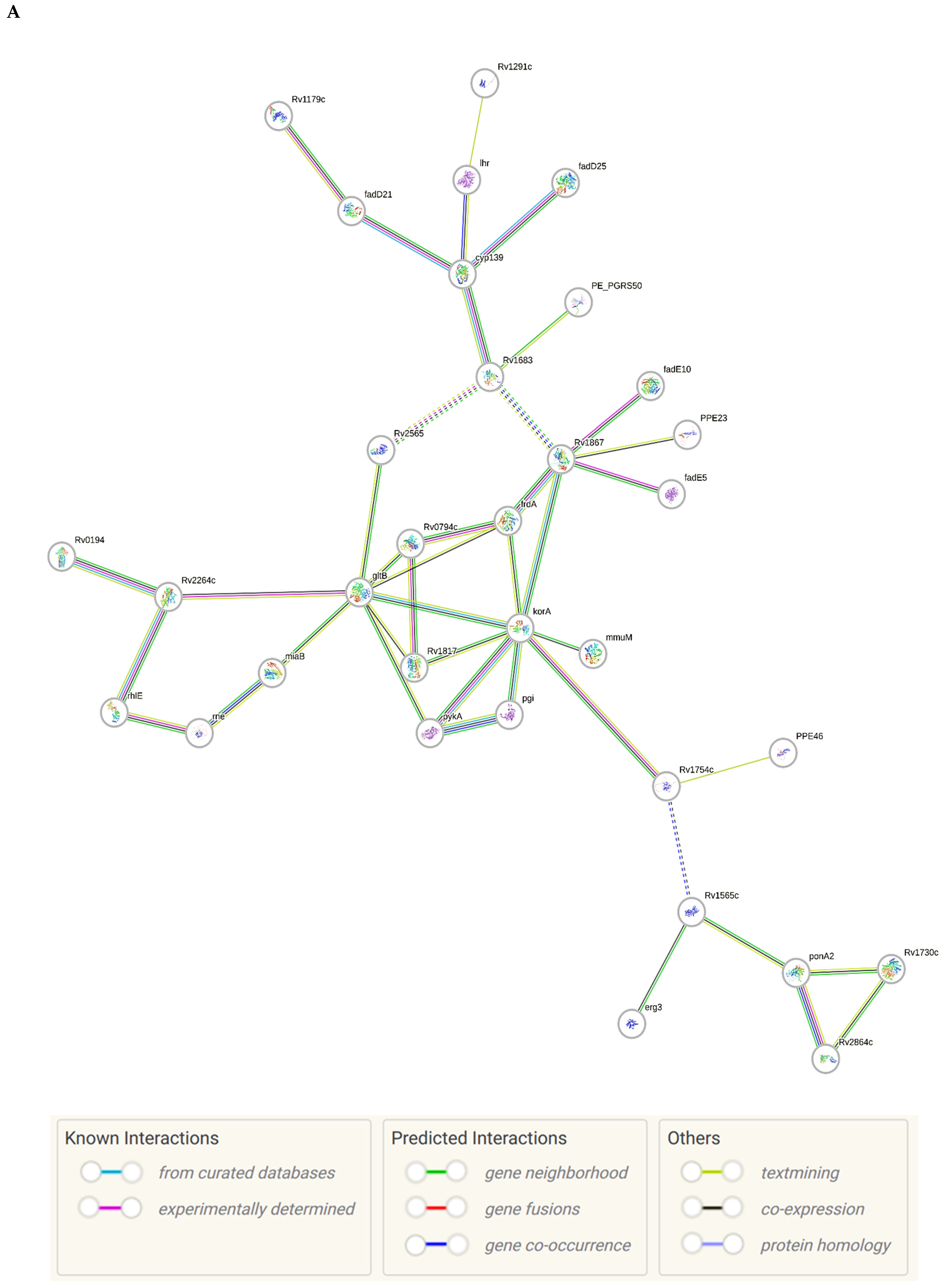 Ijms 26 00217 g003a