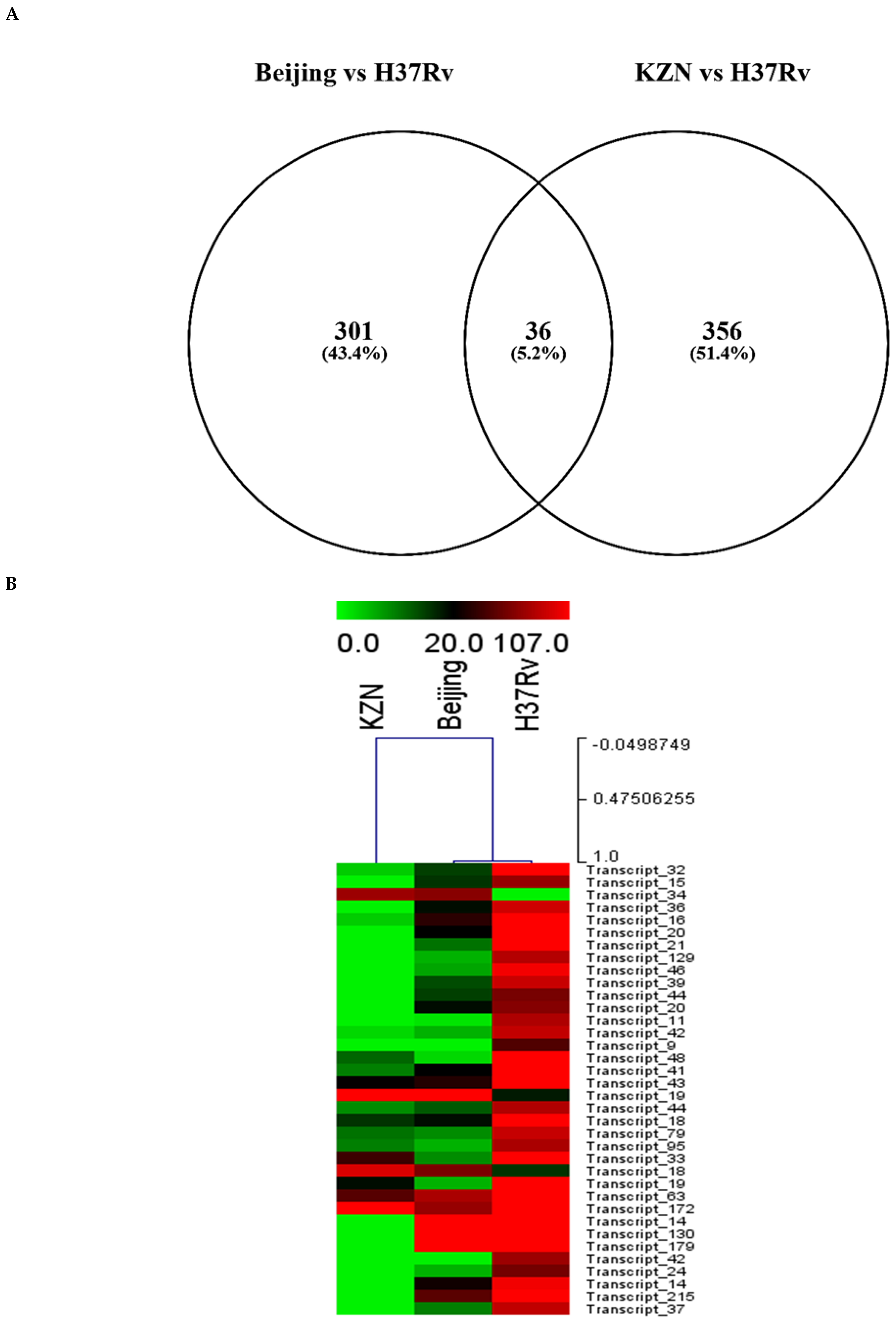 Ijms 26 00217 g004a