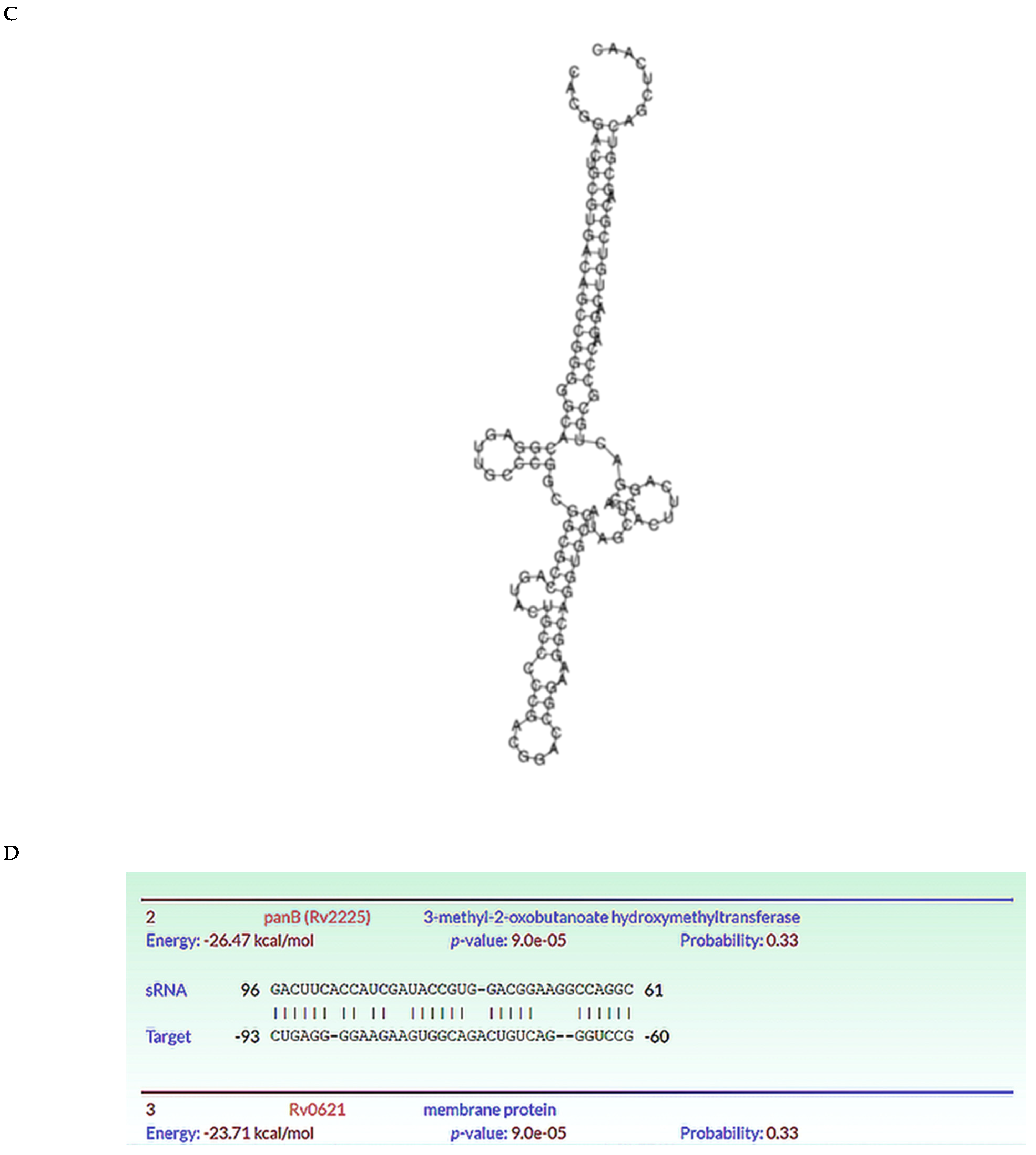 Ijms 26 00217 g004b