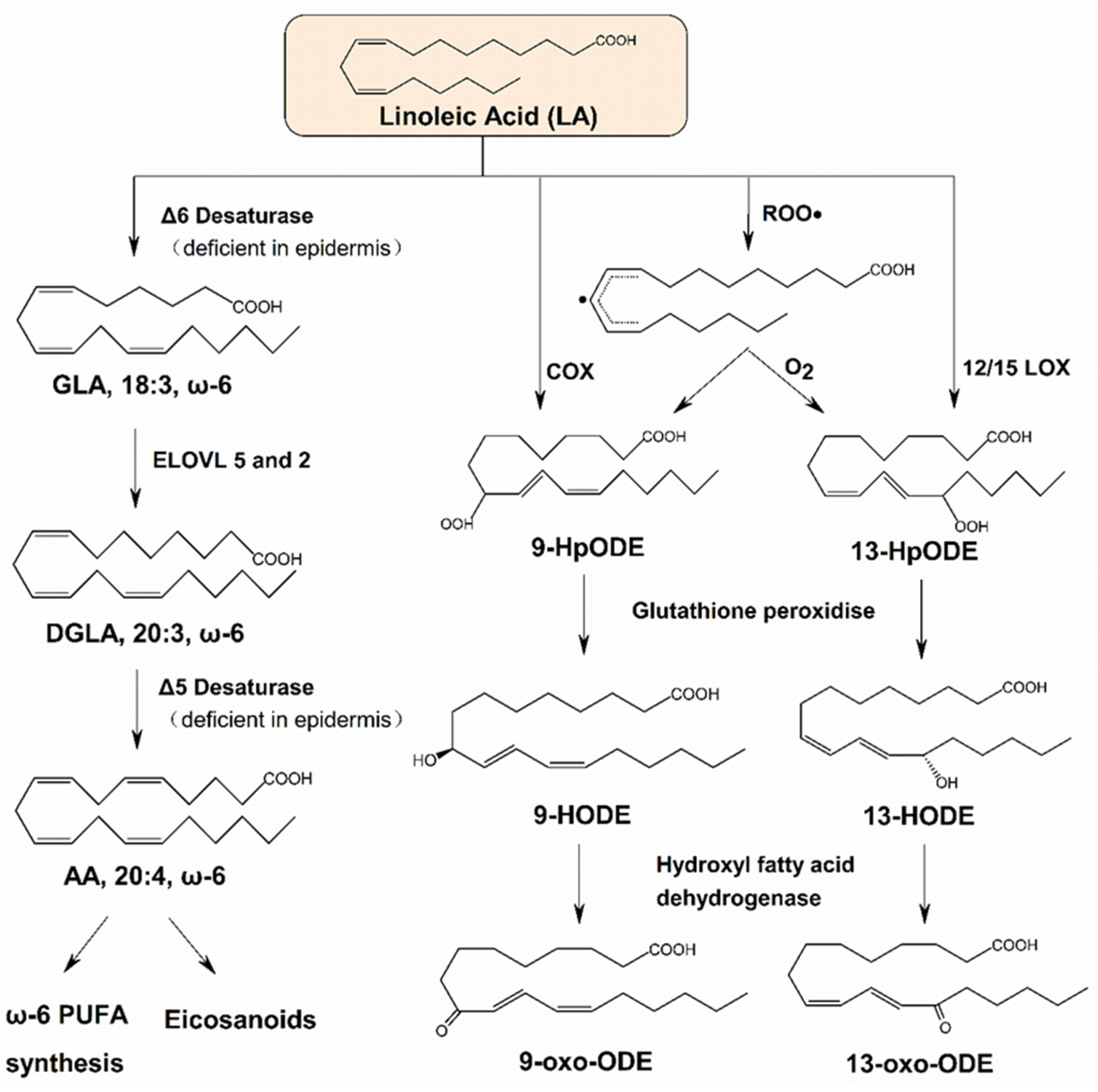 Ijms 26 00246 g001 Ijms 26 00246 g001