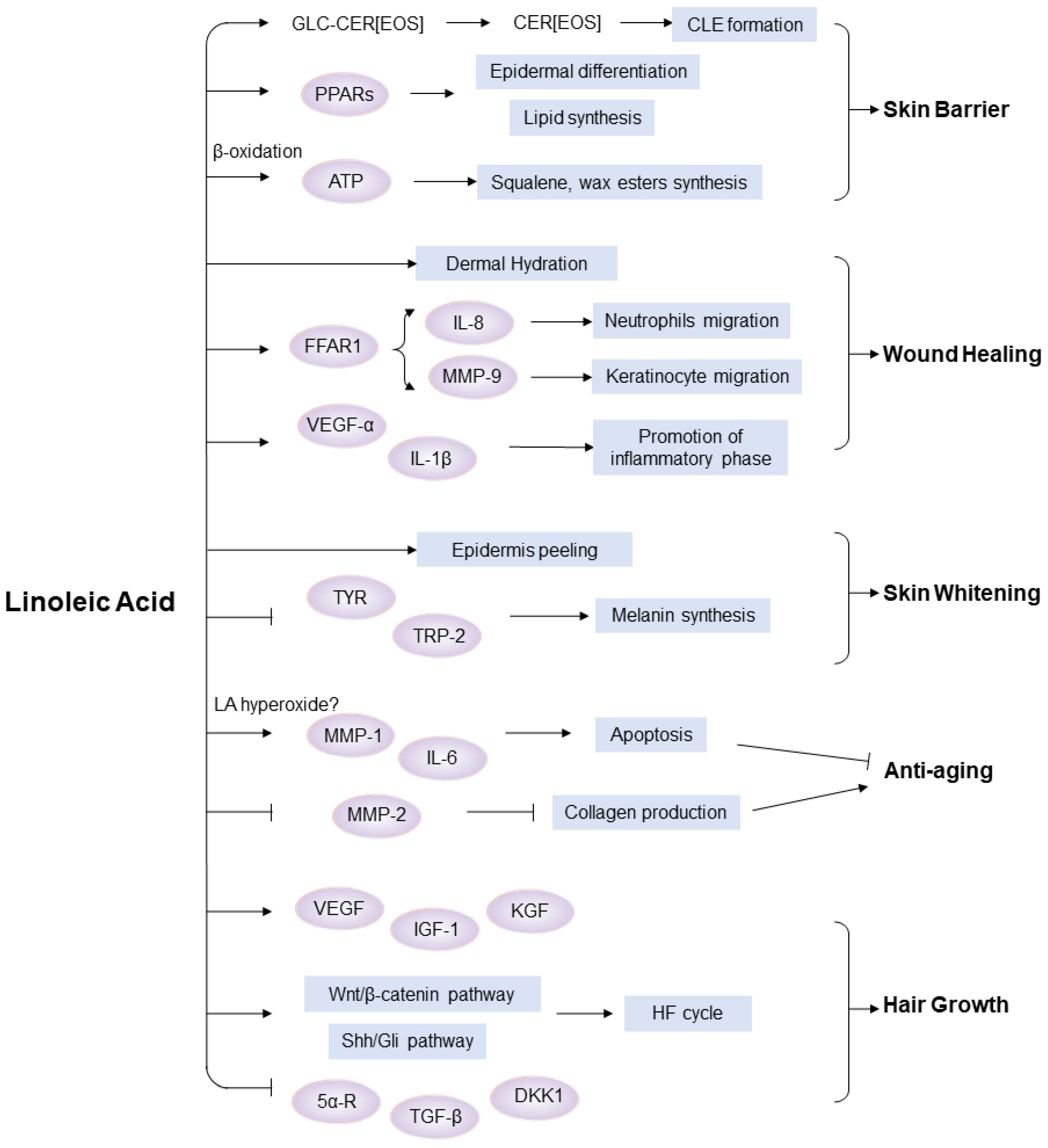 Ijms 26 00246 g002 Ijms 26 00246 g002