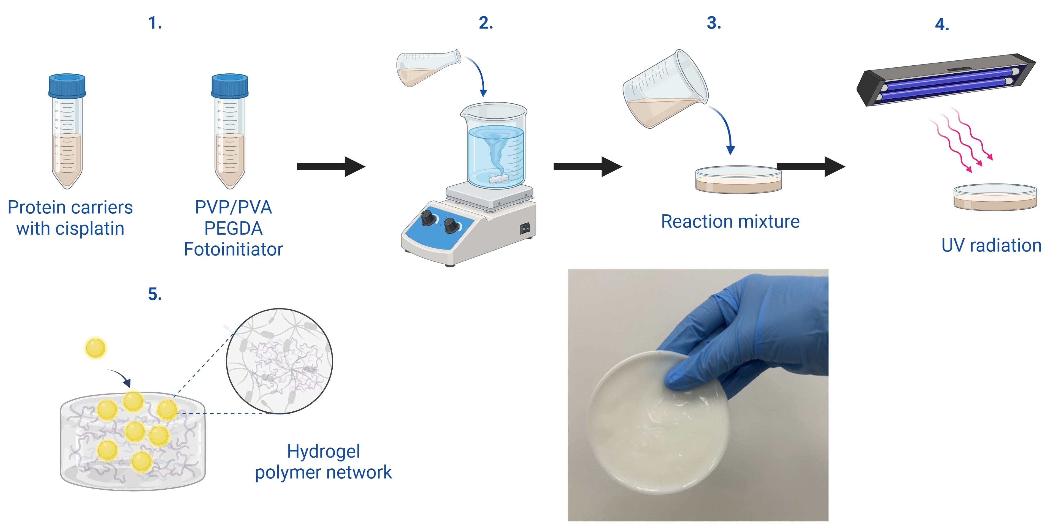 Ijms 26 00258 g007 Ijms 26 00258 g007