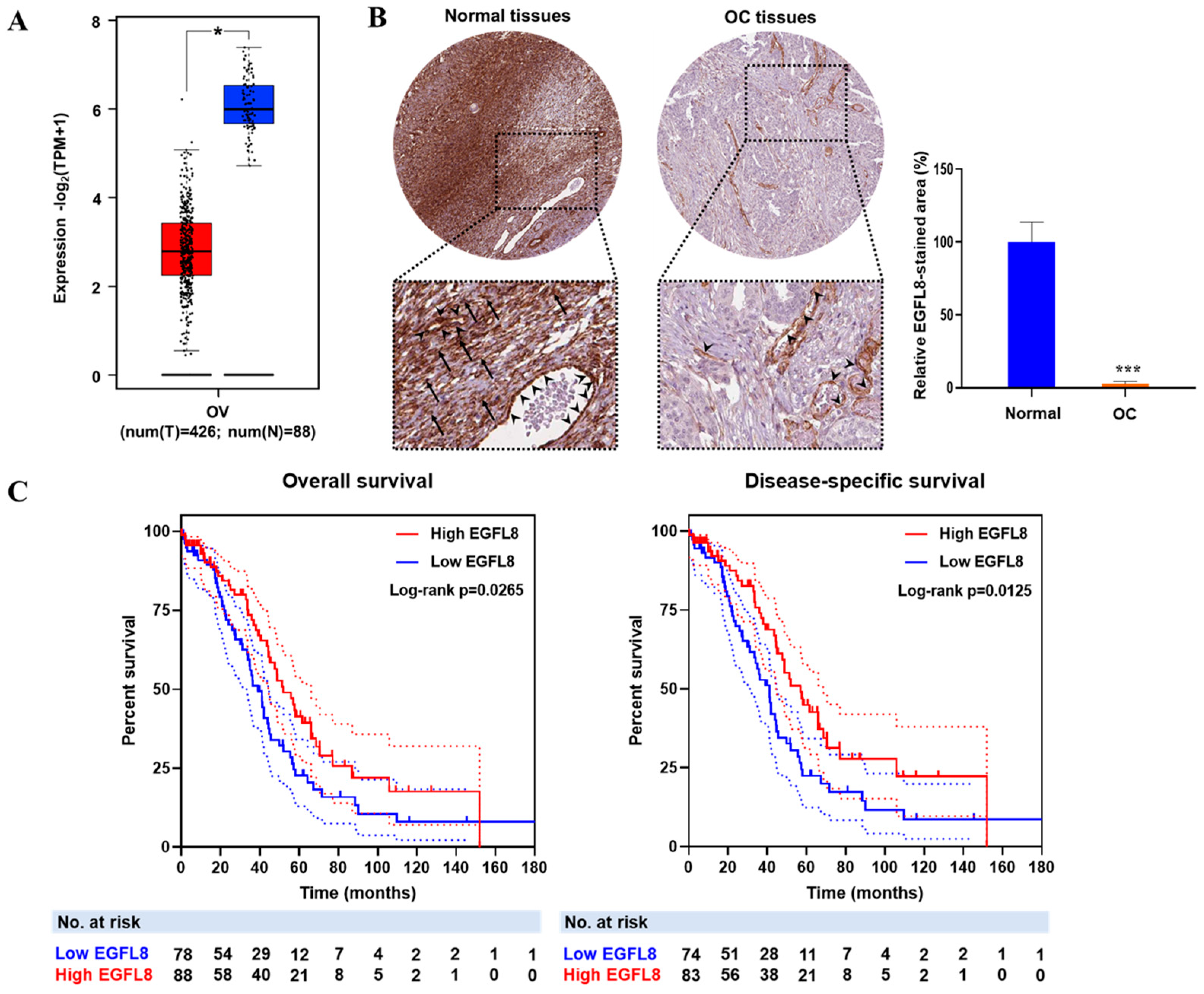 Ijms 26 00274 g001 Ijms 26 00274 g001