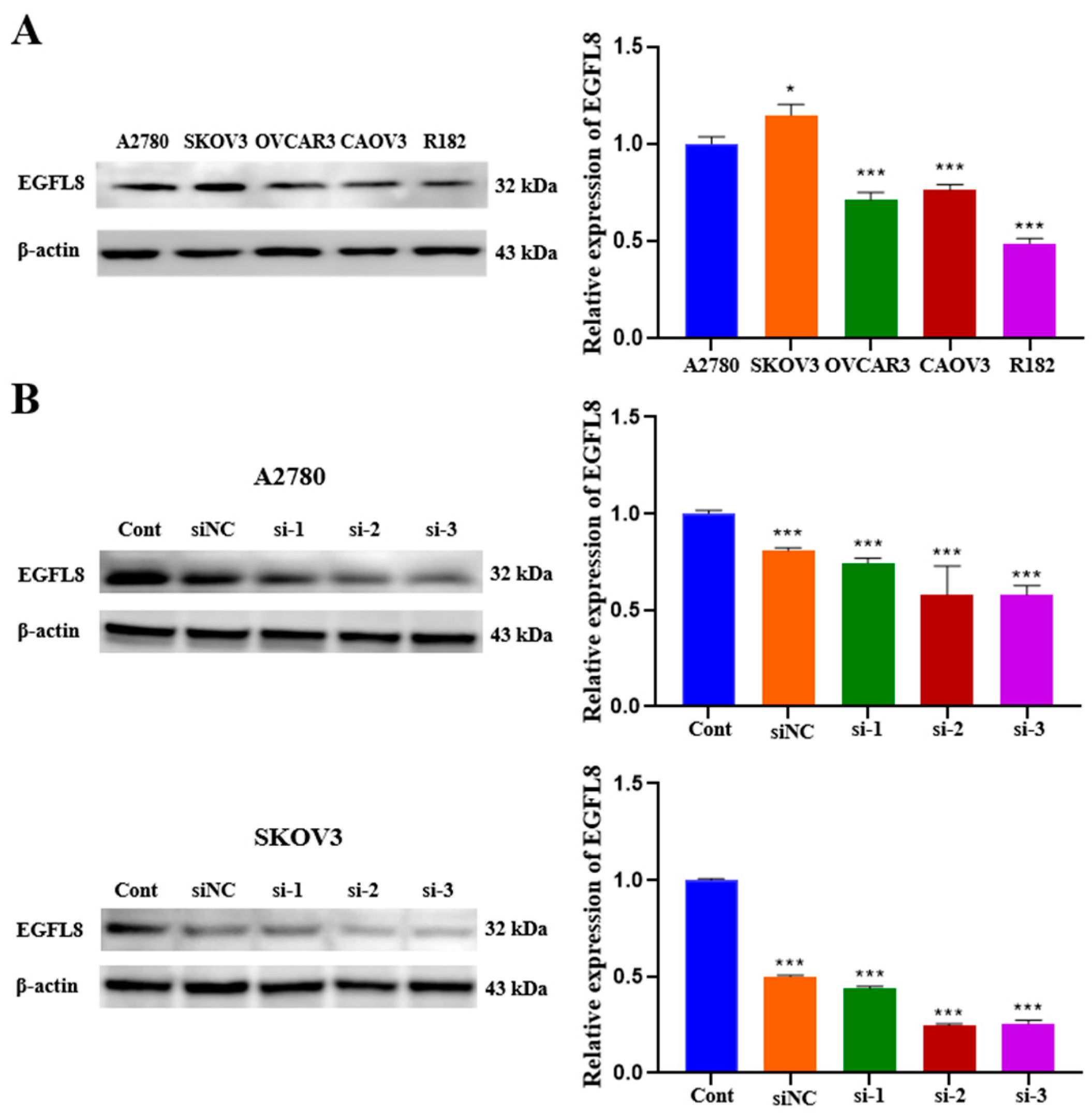 Ijms 26 00274 g002 Ijms 26 00274 g002