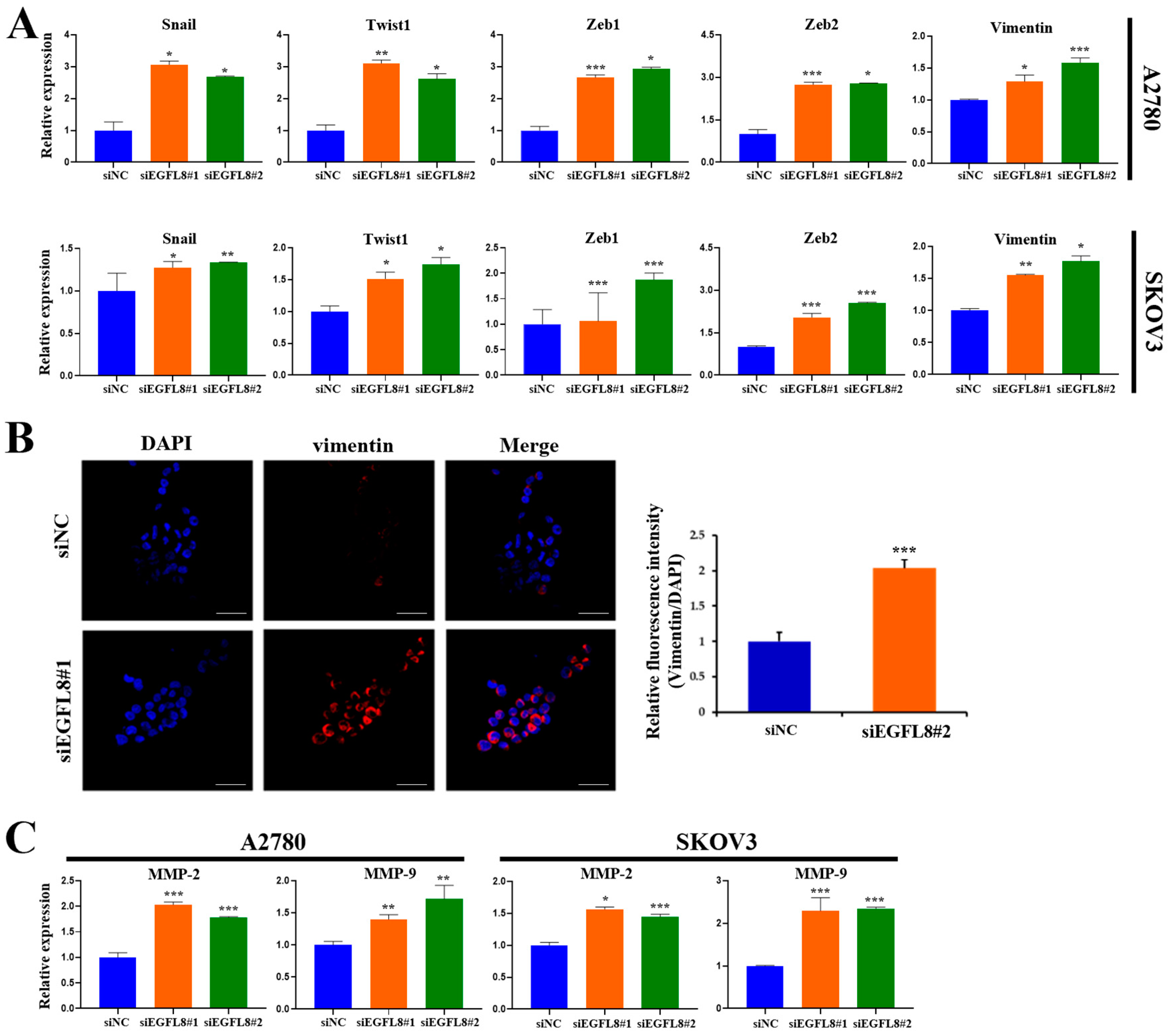 Ijms 26 00274 g007 Ijms 26 00274 g007