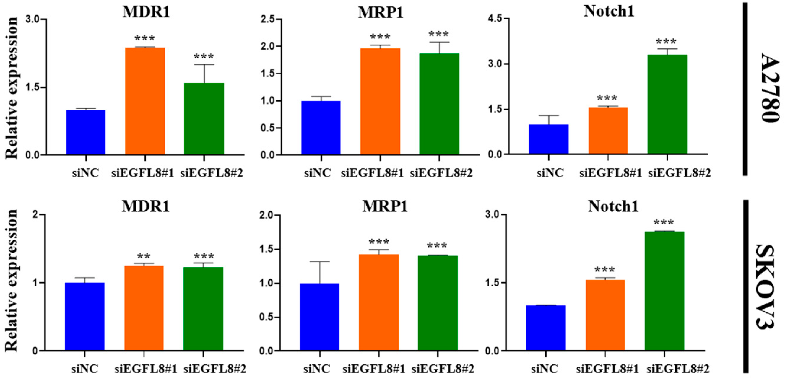 Ijms 26 00274 g010 Ijms 26 00274 g010