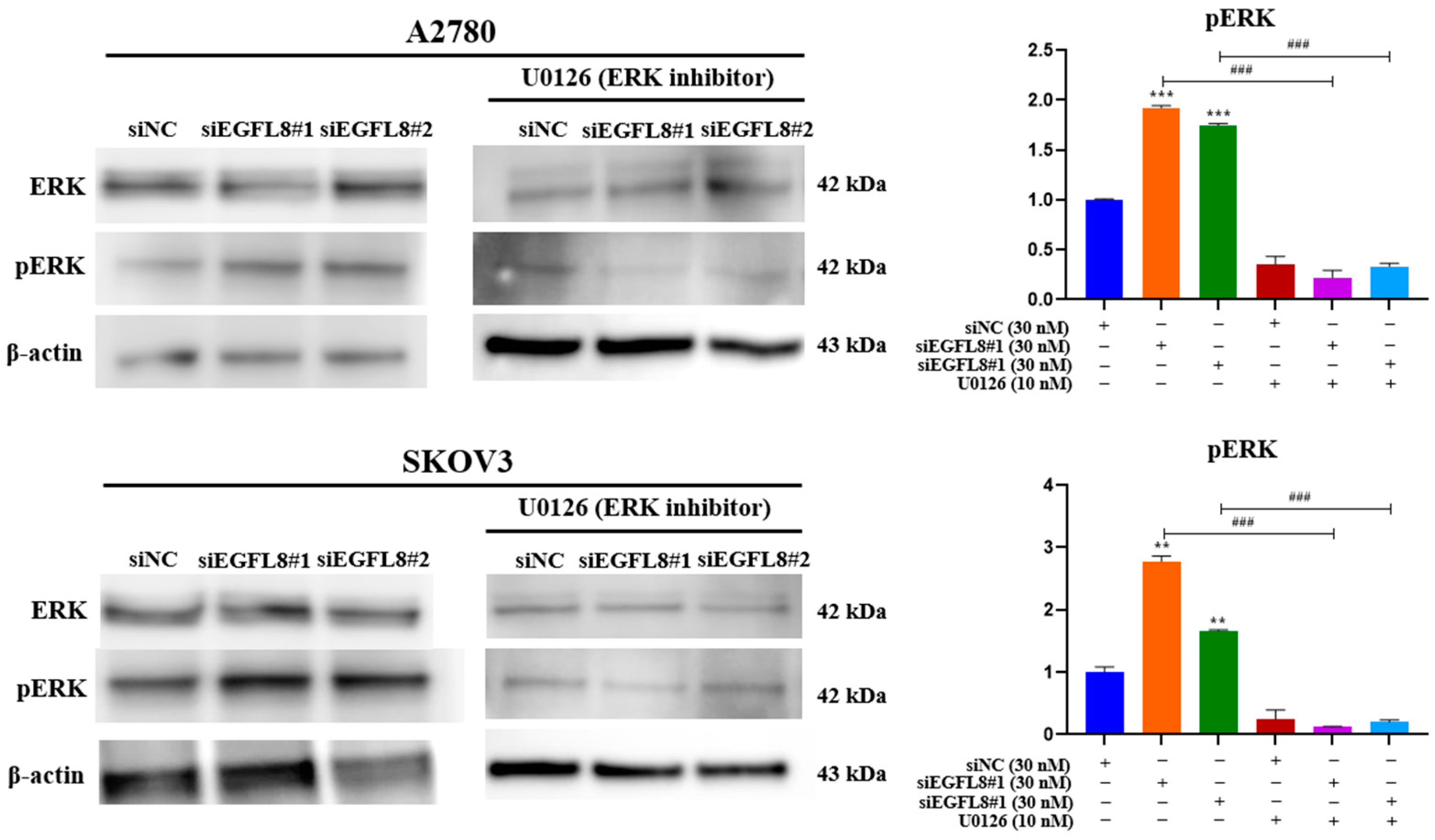 Ijms 26 00274 g011 Ijms 26 00274 g011