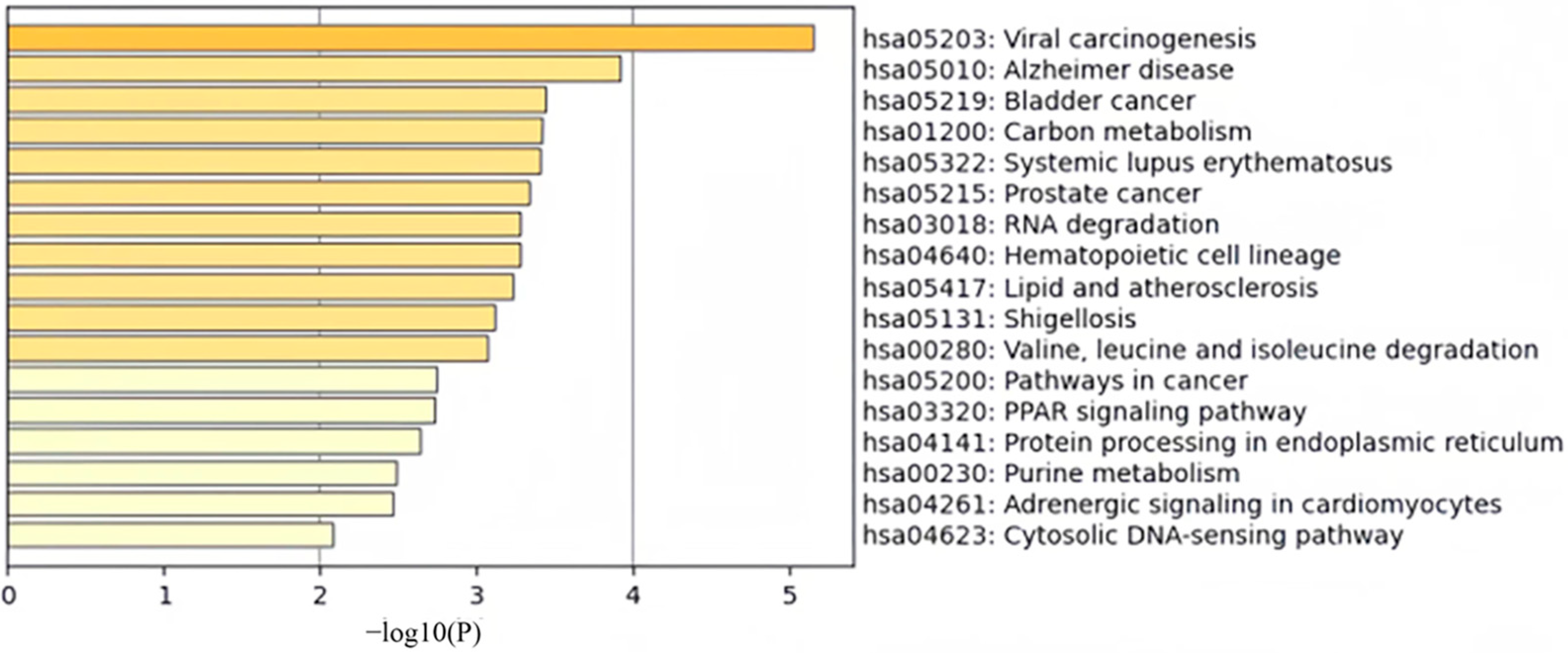 Ijms 26 00313 g003 Ijms 26 00313 g003