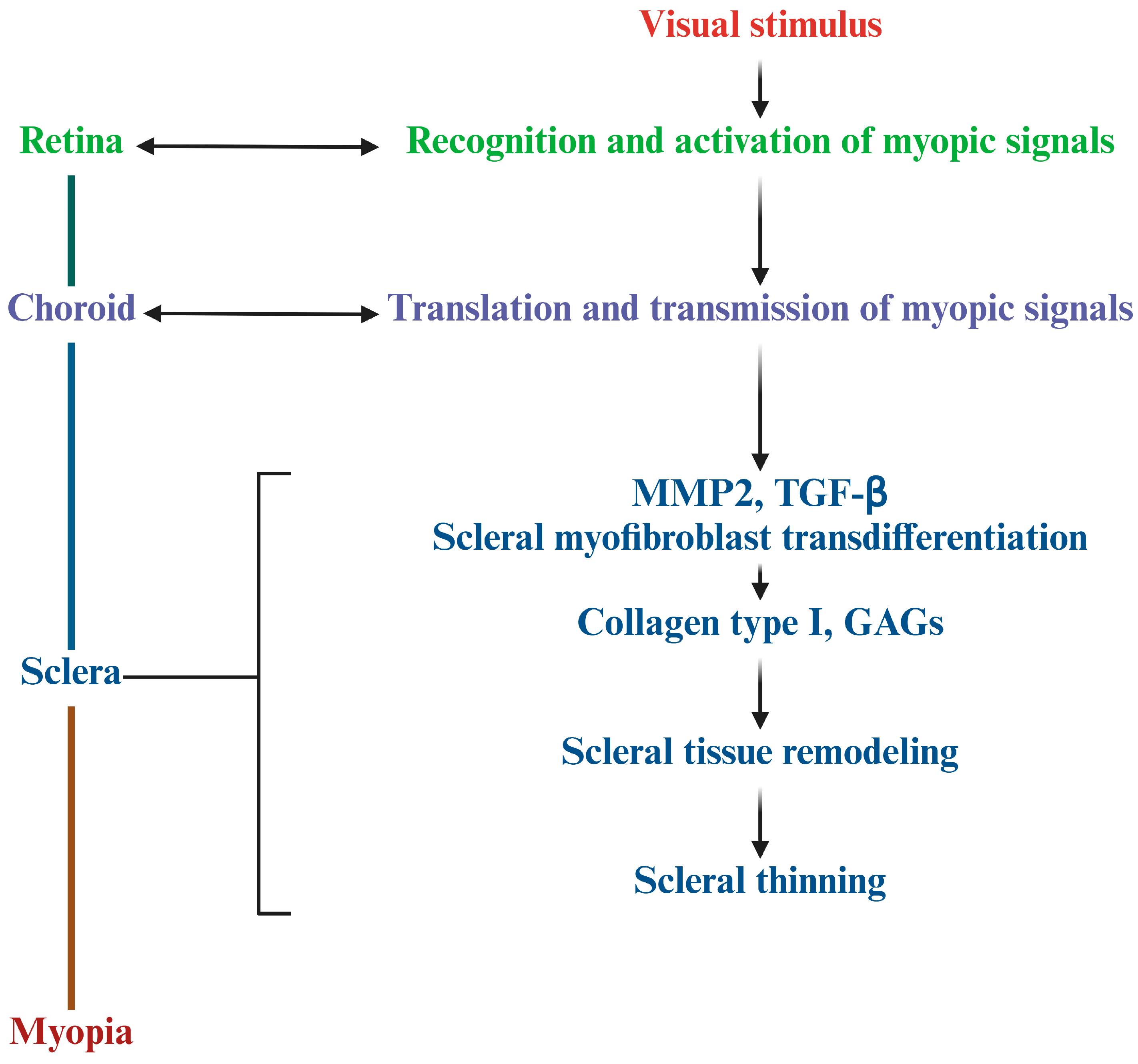 Ijms 26 00332 g002