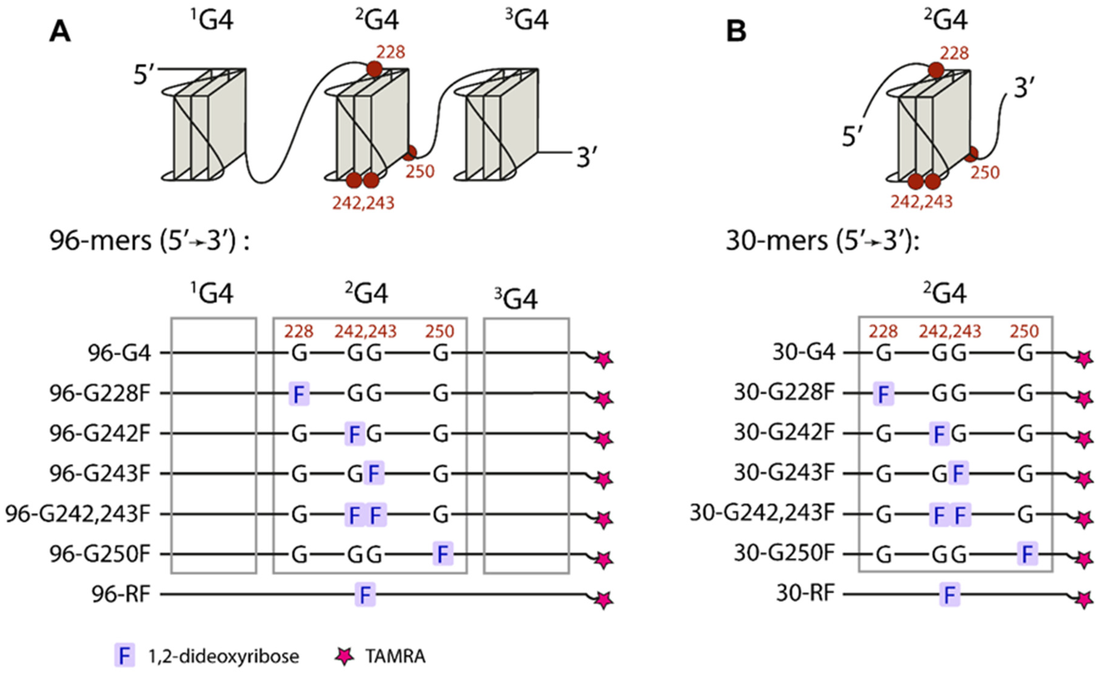 Ijms 26 00337 g001