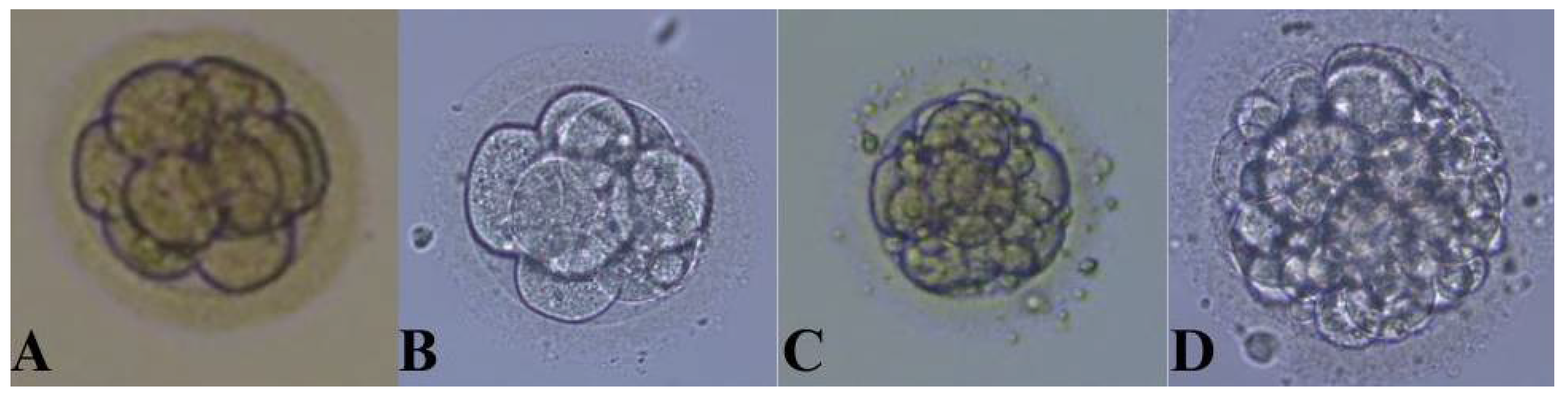 Ijms 26 00388 g001