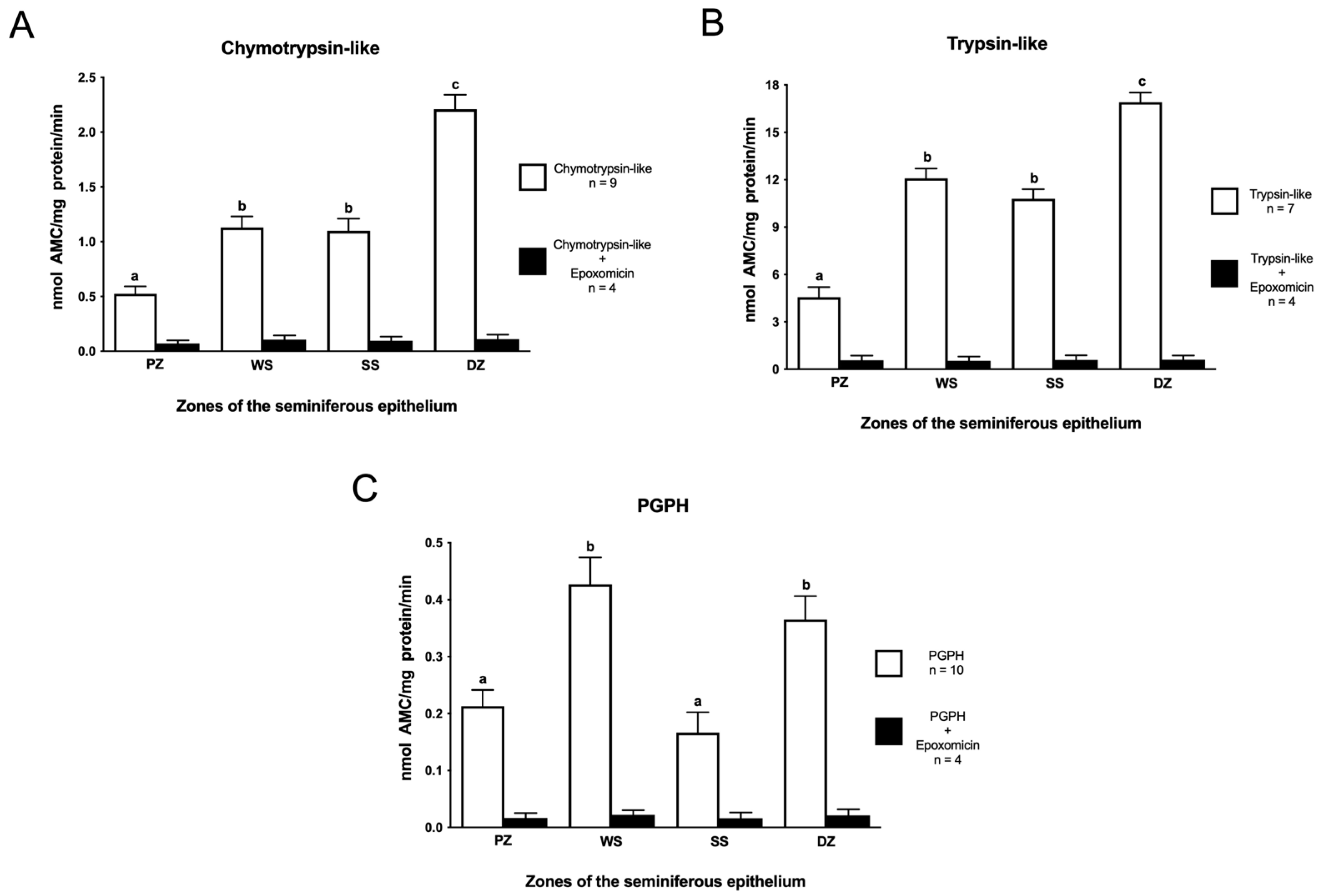 Ijms 26 00494 g002 Ijms 26 00494 g002