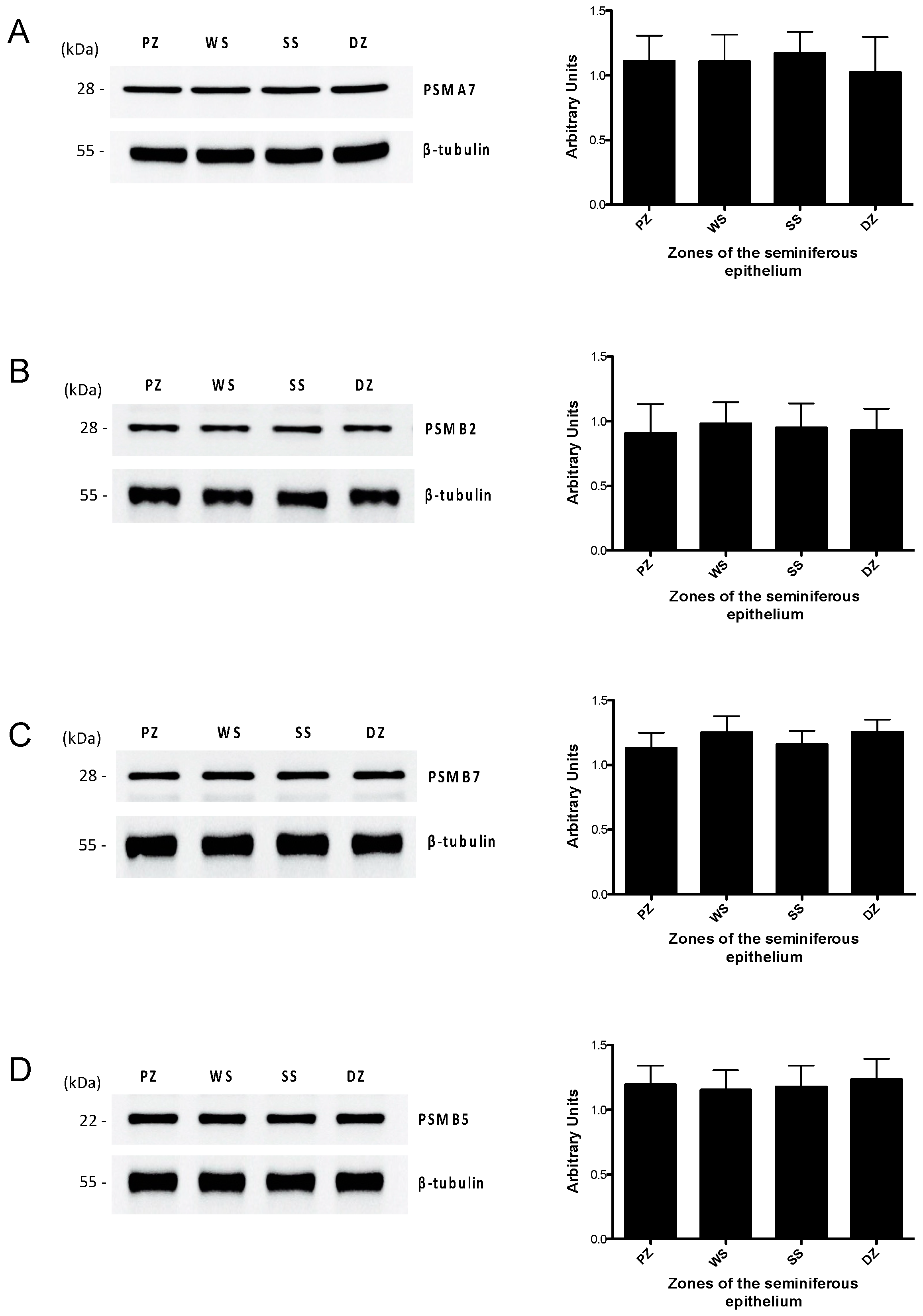 Ijms 26 00494 g003 Ijms 26 00494 g003