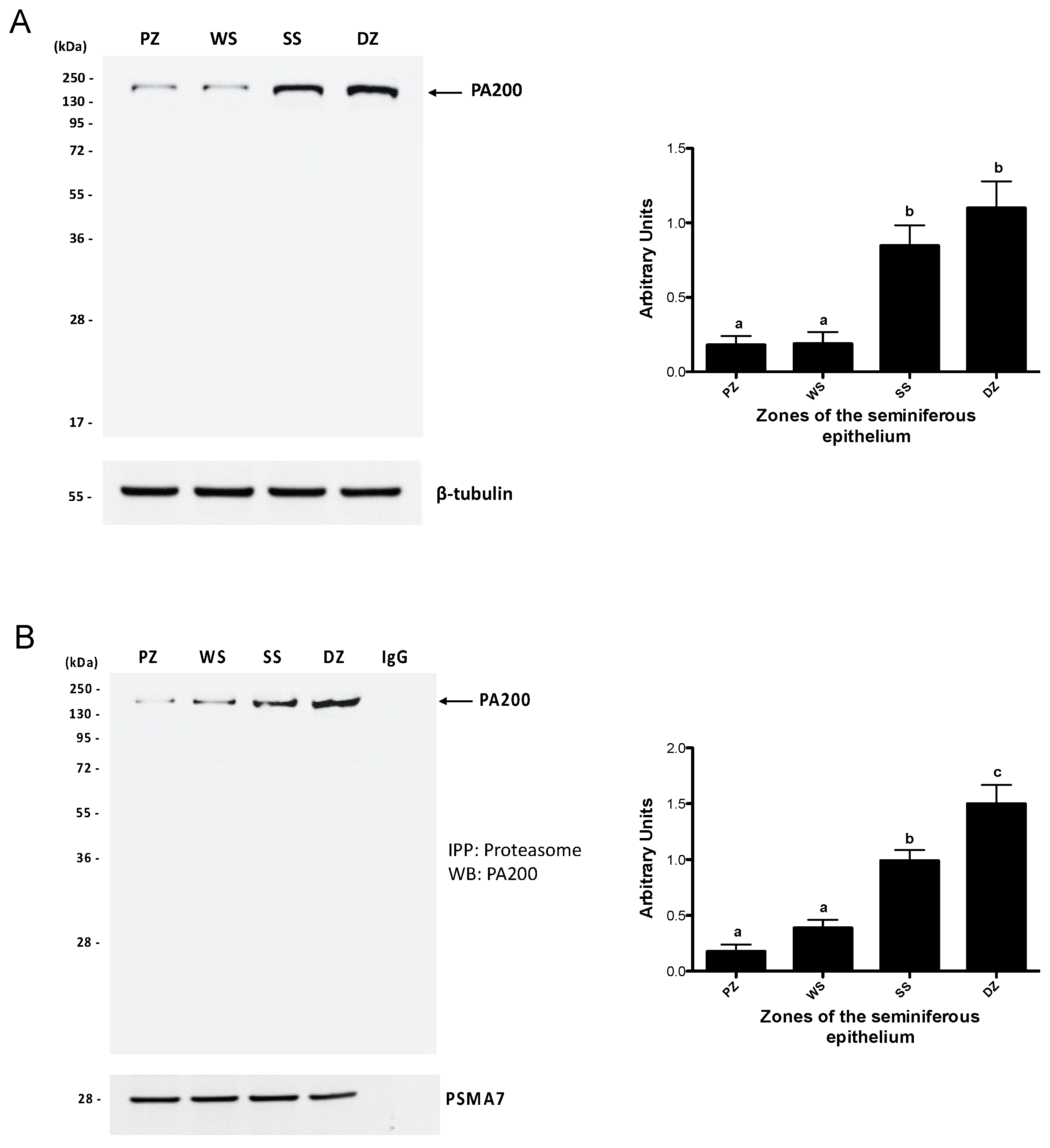 Ijms 26 00494 g006 Ijms 26 00494 g006