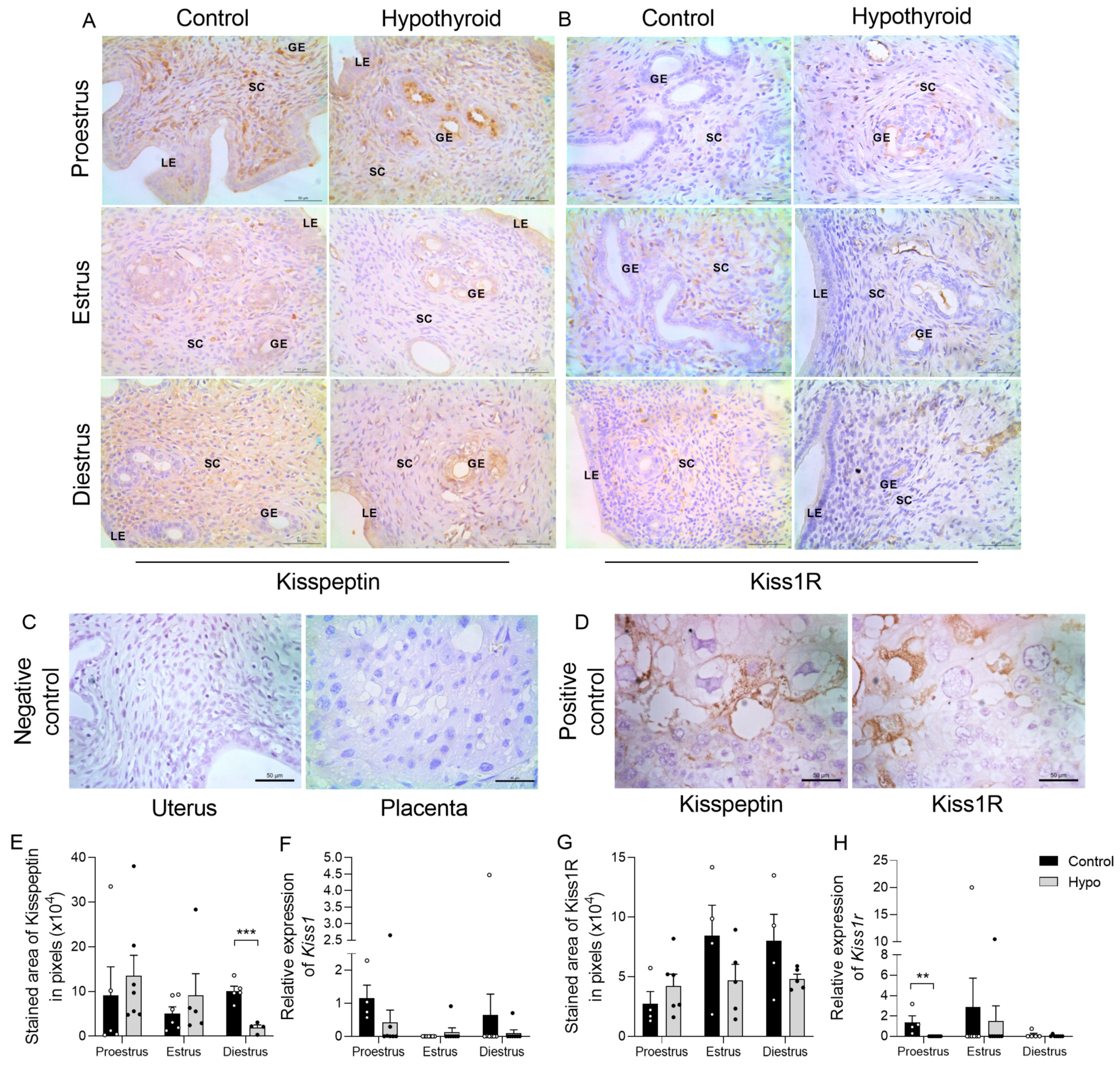 Ijms 26 00543 g006 Ijms 26 00543 g006