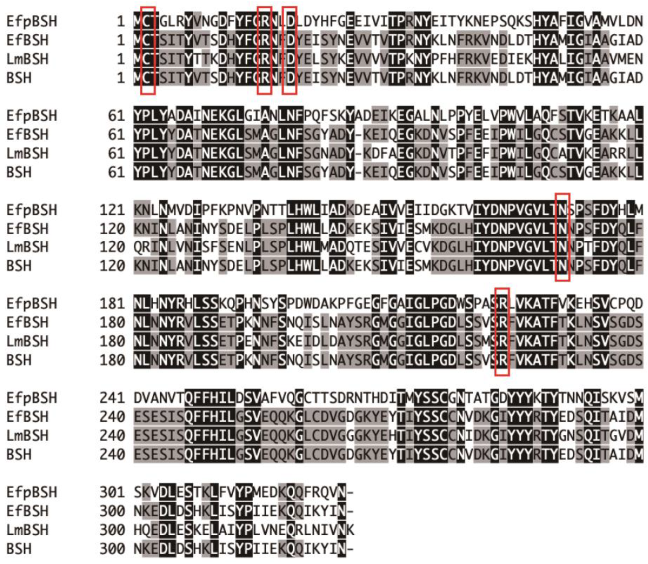 Ijms 26 00612 g003 Ijms 26 00612 g003