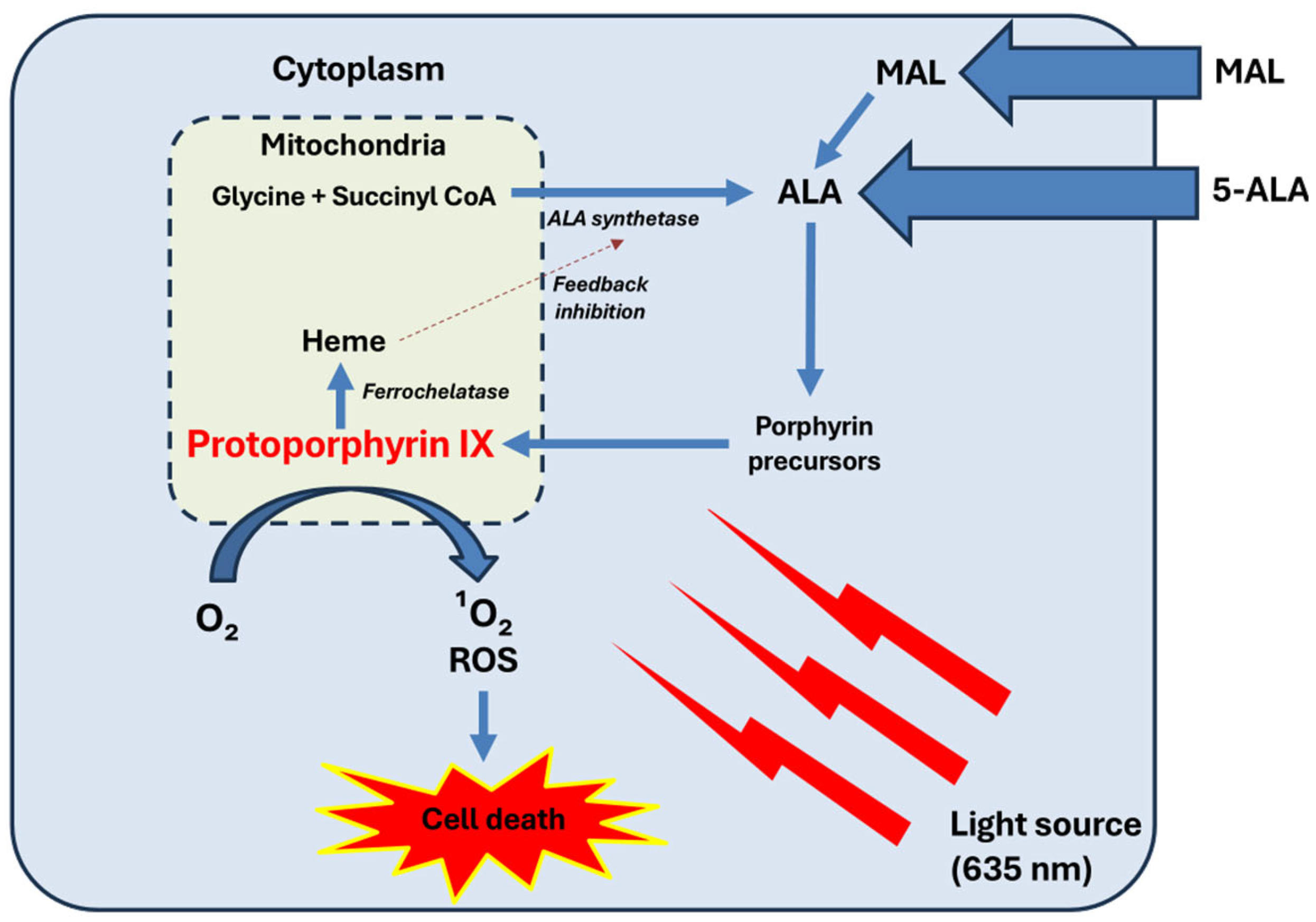 Ijms 26 00628 g001 Ijms 26 00628 g001