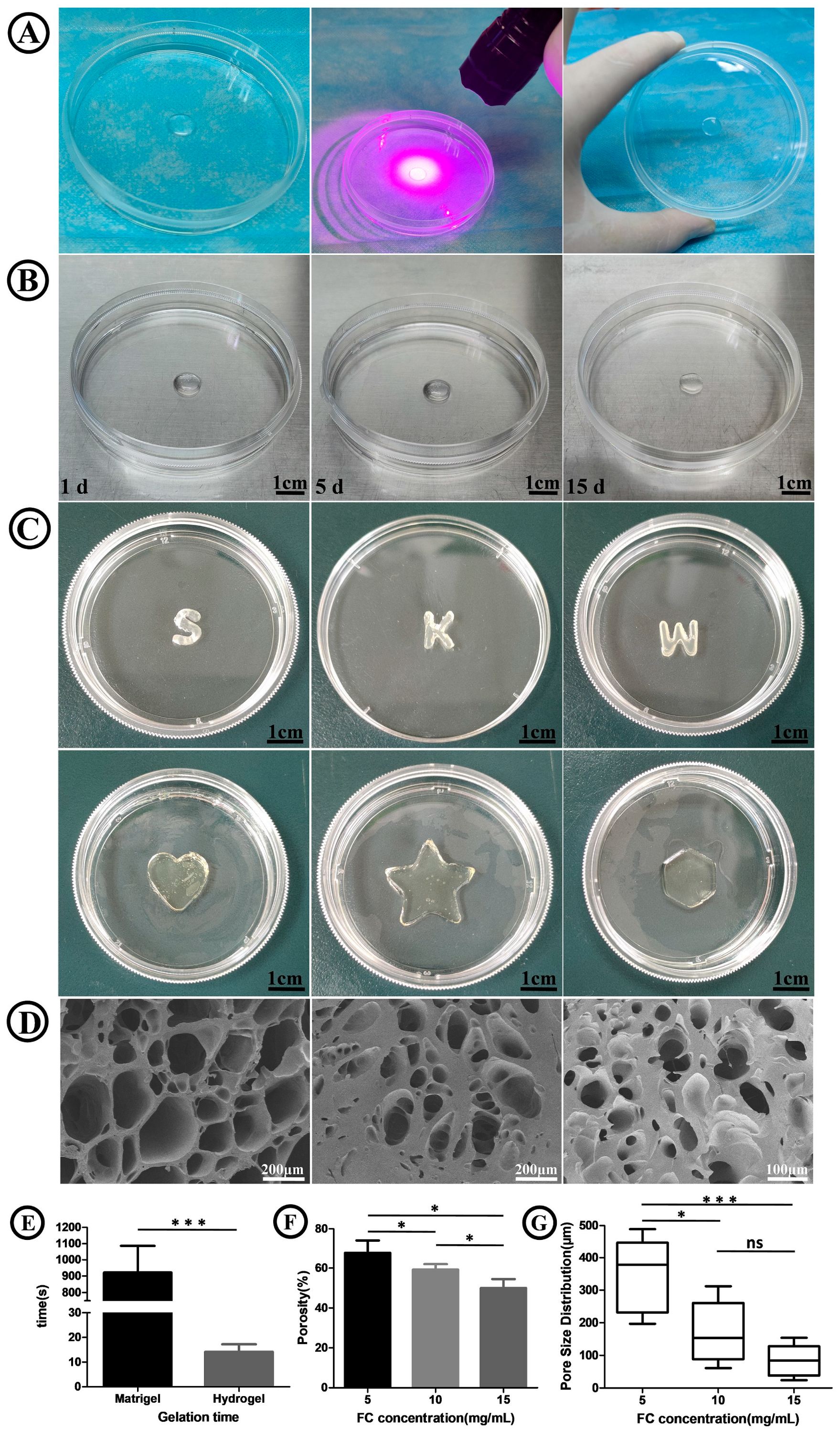 Ijms 26 00663 g001