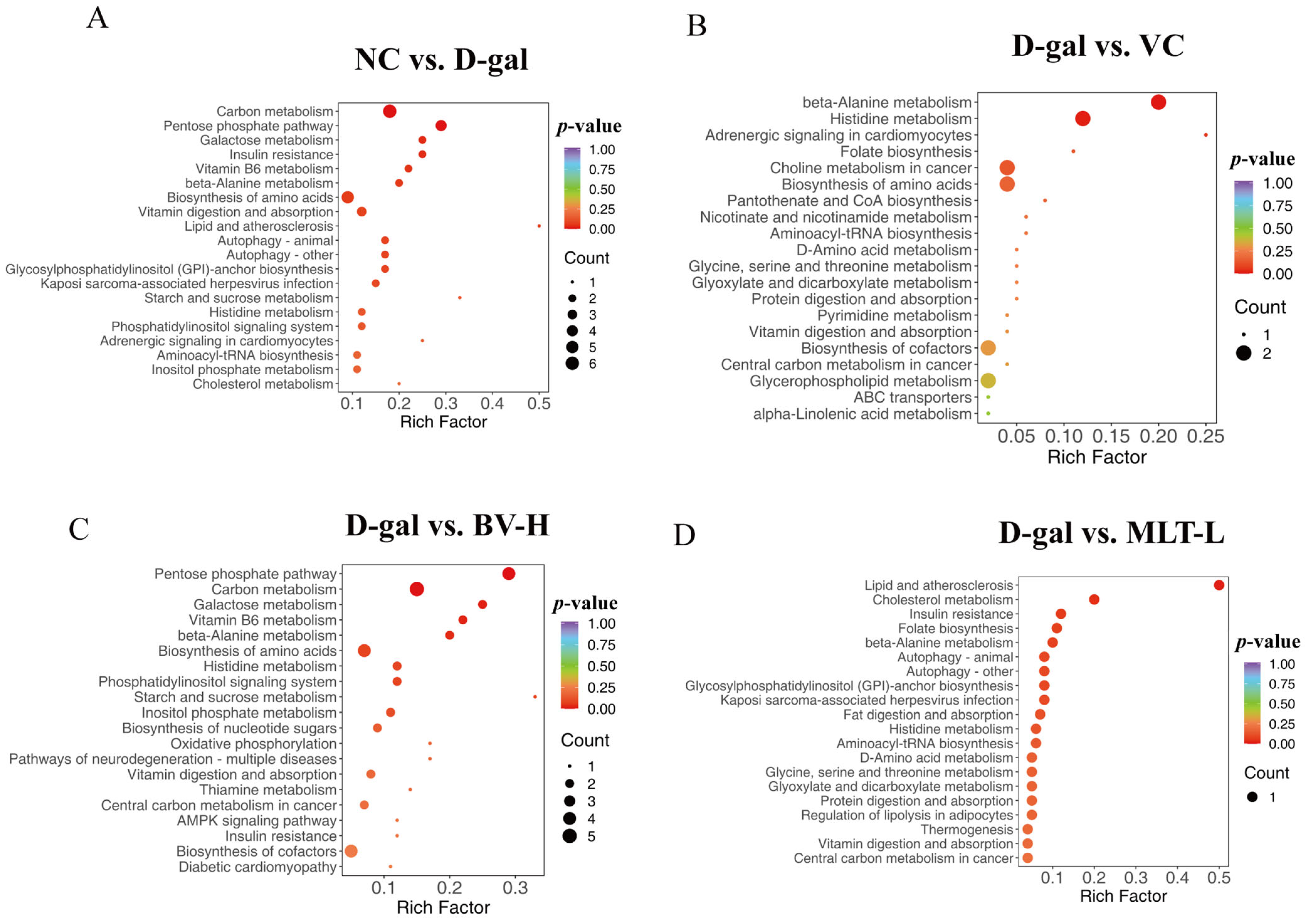 Ijms 26 00742 g009 Ijms 26 00742 g009