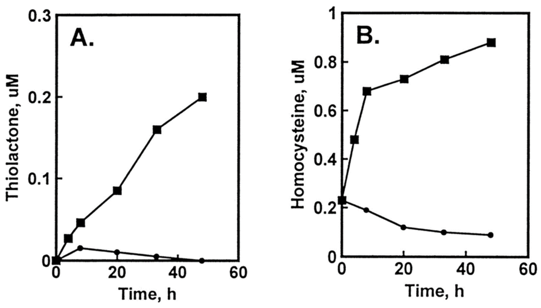 Ijms 26 00746 g002 Ijms 26 00746 g002