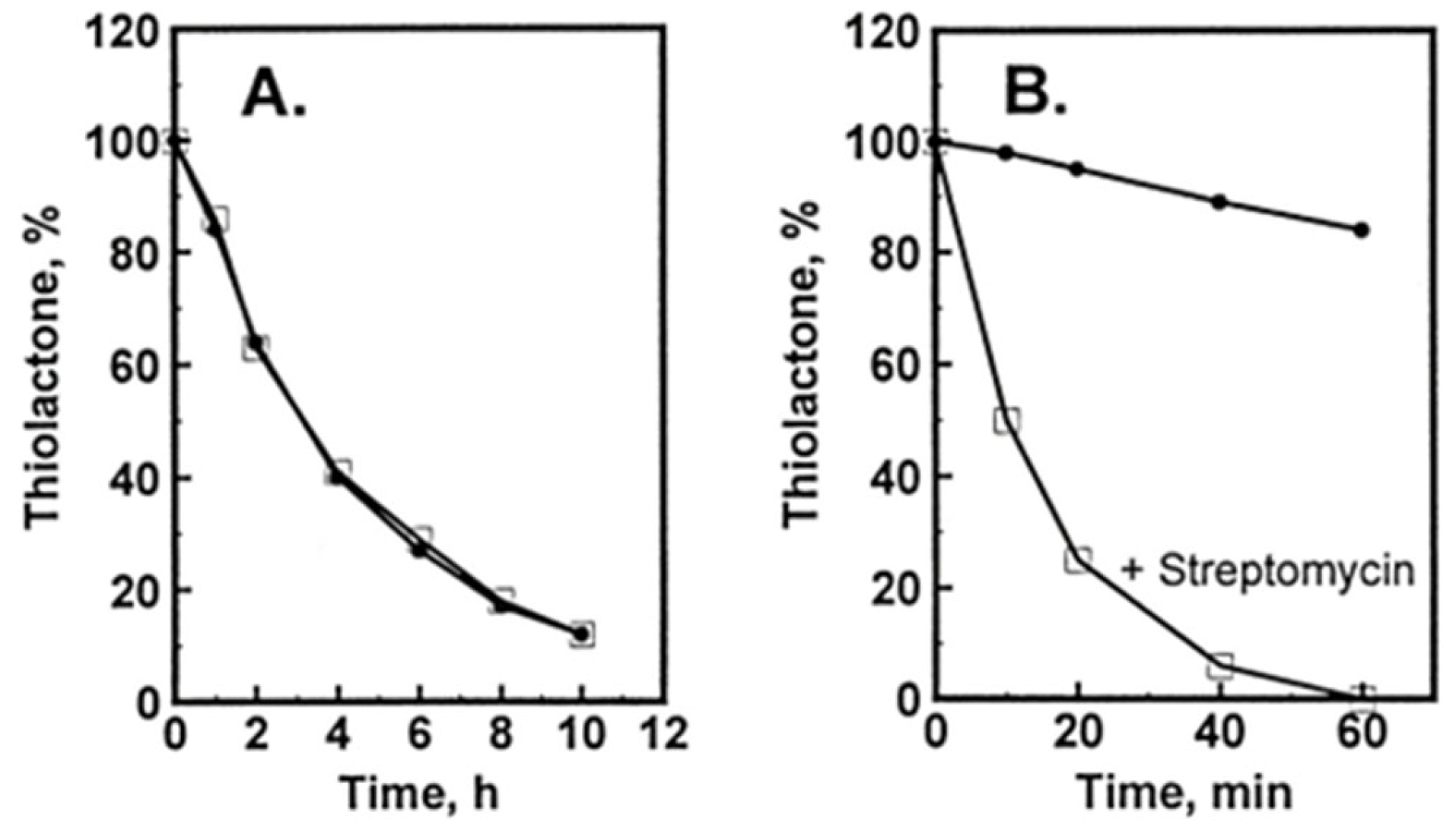 Ijms 26 00746 g004 Ijms 26 00746 g004