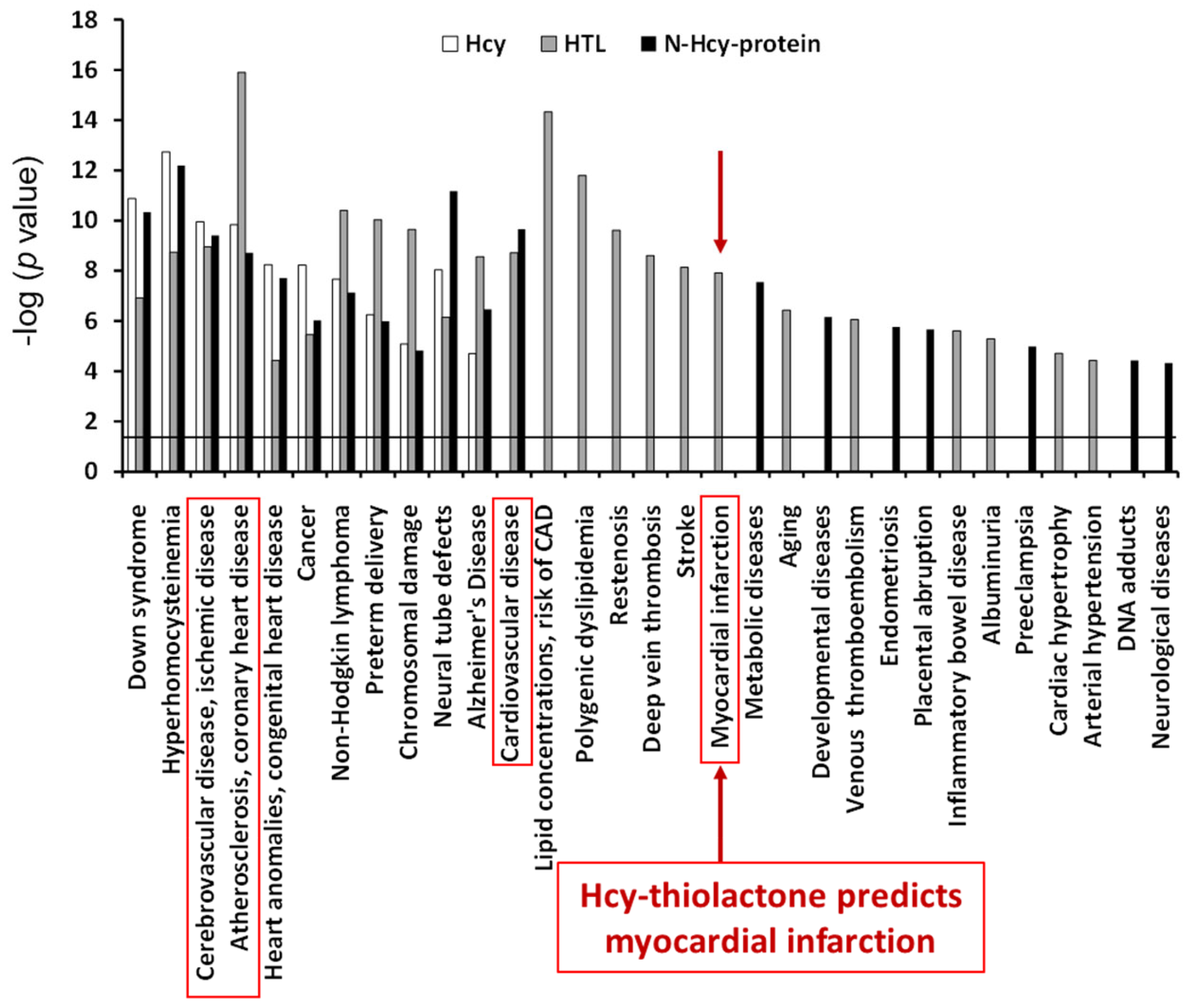 Ijms 26 00746 g007 Ijms 26 00746 g007