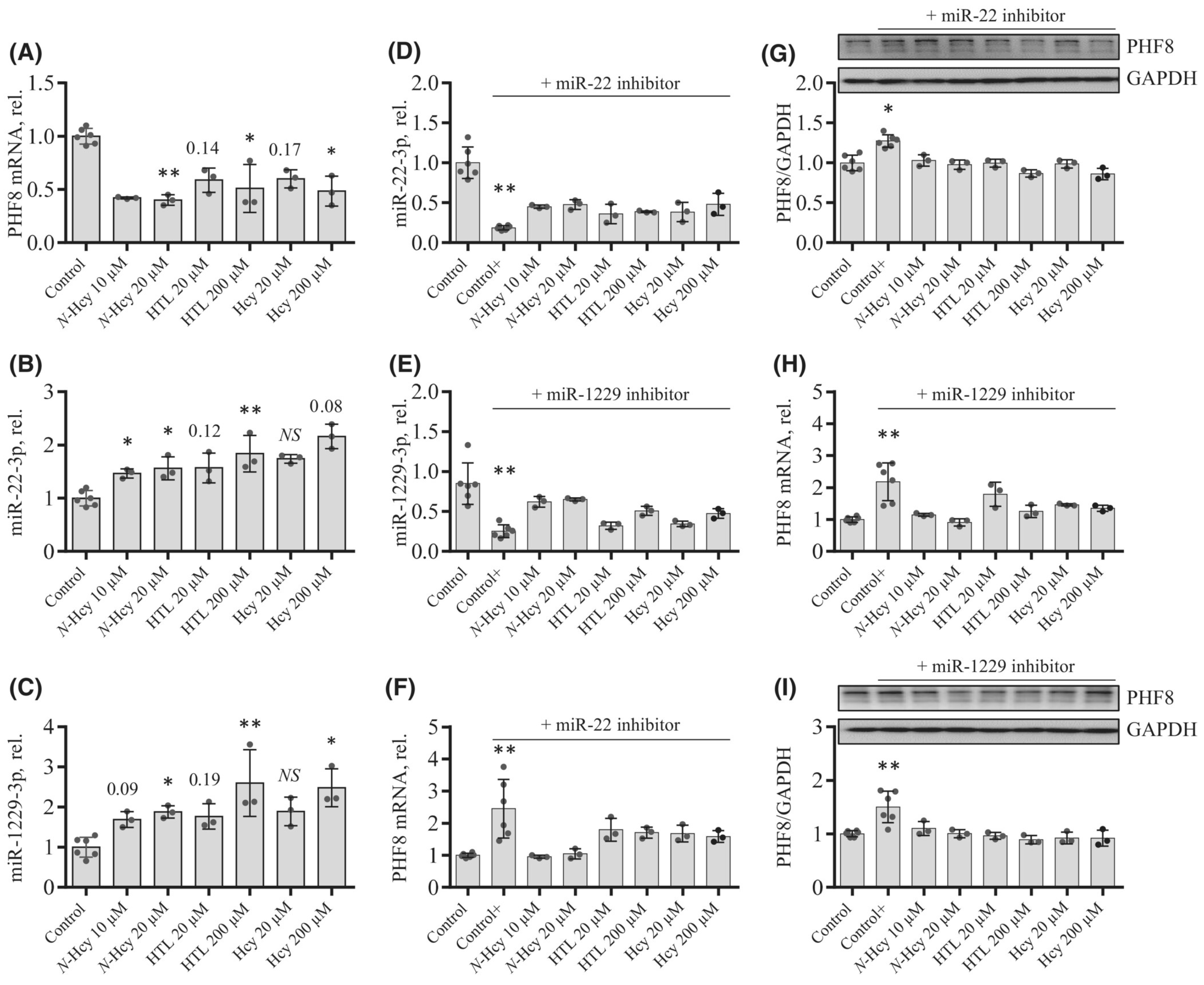 Ijms 26 00746 g008 Ijms 26 00746 g008