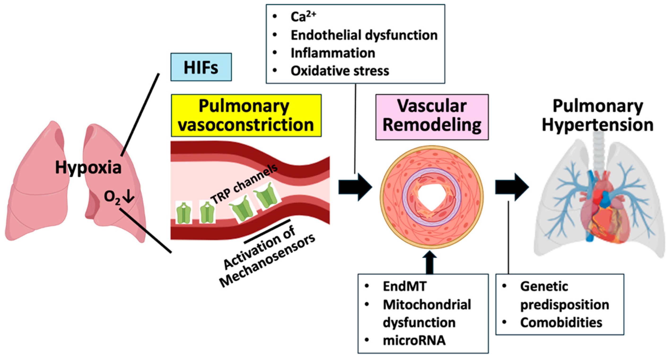 Ijms 26 00835 g001 Ijms 26 00835 g001
