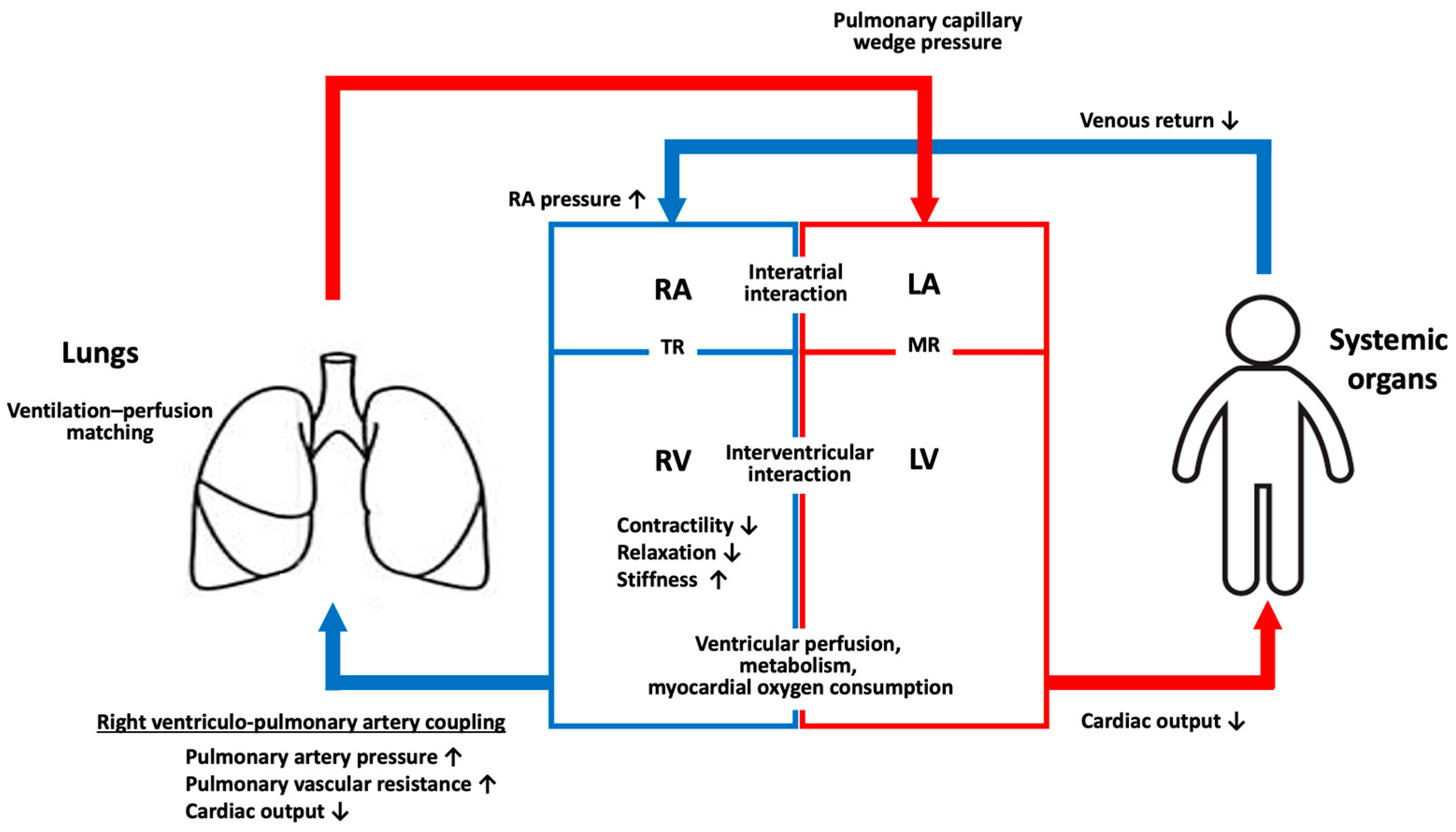 Ijms 26 00835 g003 Ijms 26 00835 g003