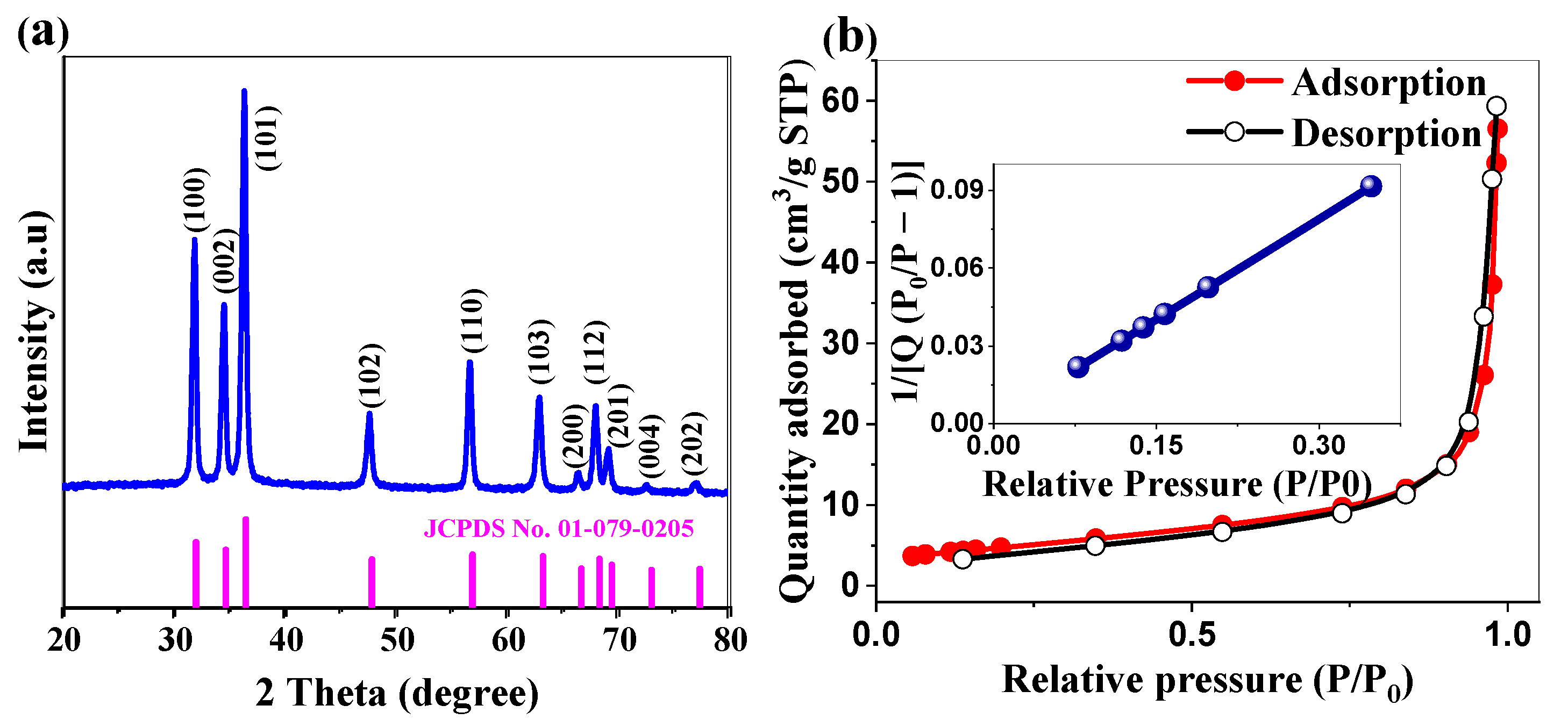 Ijms 26 00859 g002 Ijms 26 00859 g002