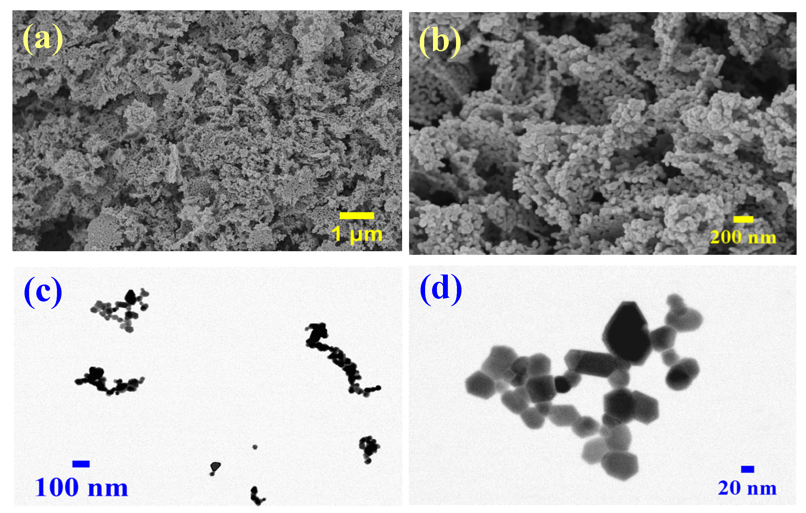 Ijms 26 00859 g003 Ijms 26 00859 g003