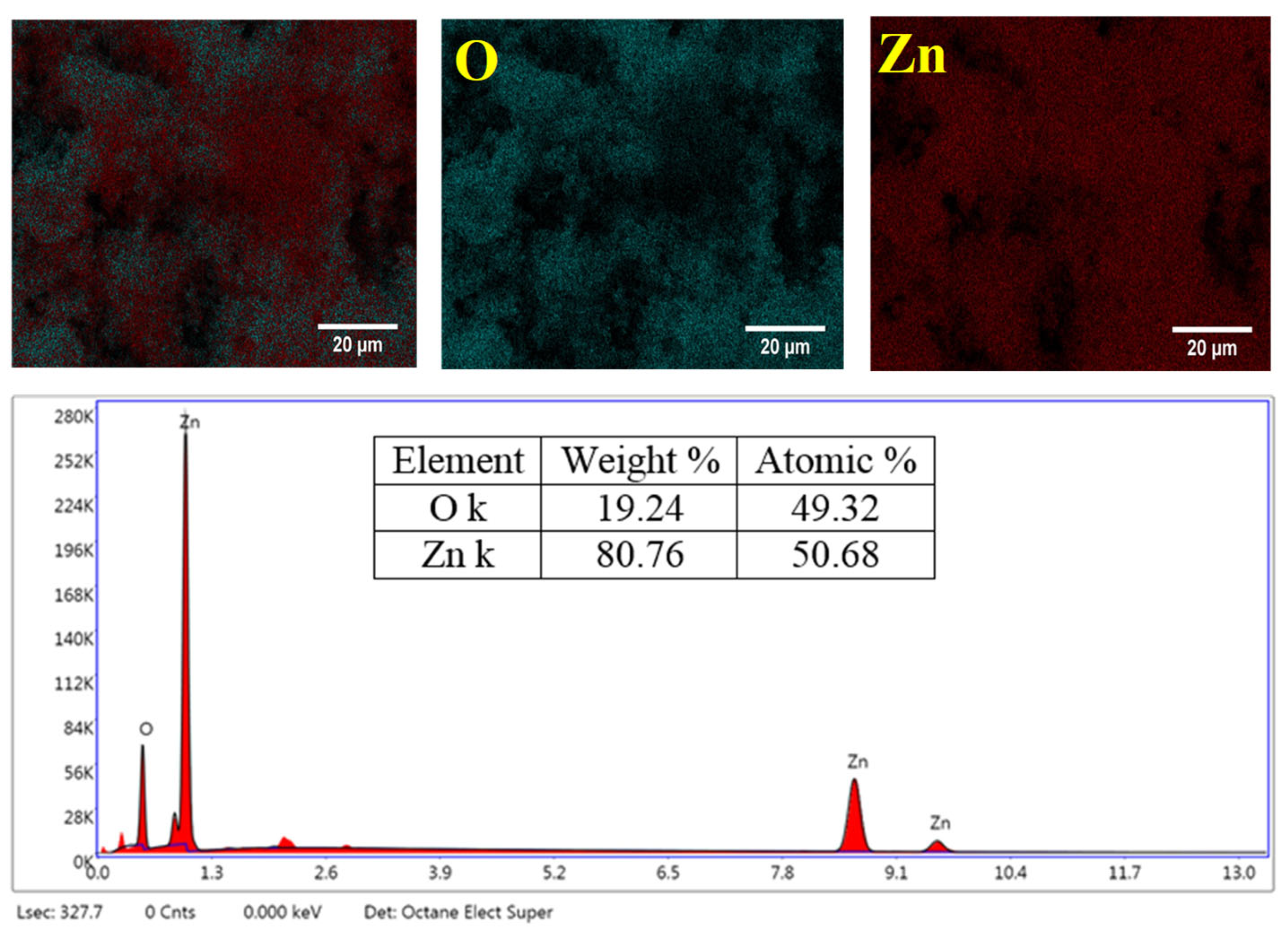 Ijms 26 00859 g004 Ijms 26 00859 g004