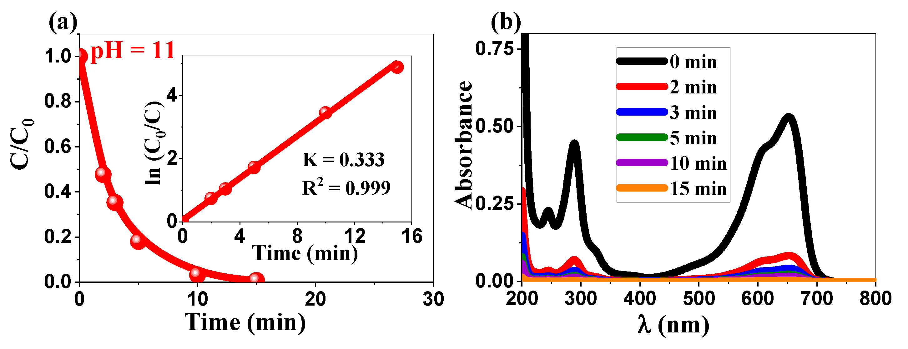Ijms 26 00859 g007 Ijms 26 00859 g007