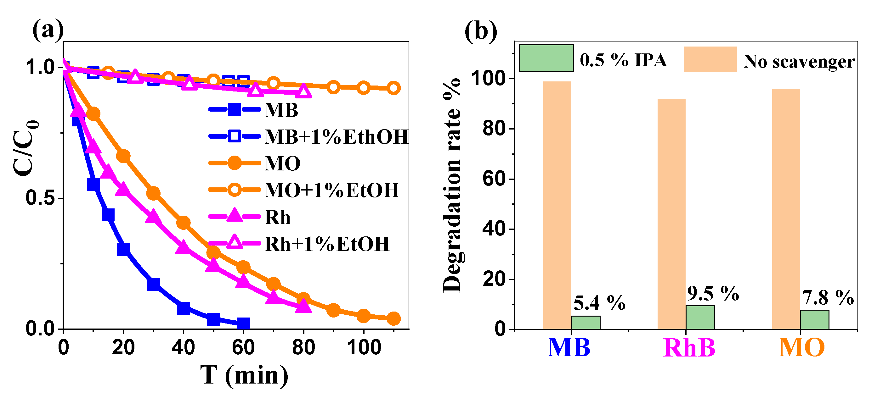 Ijms 26 00859 g008 Ijms 26 00859 g008