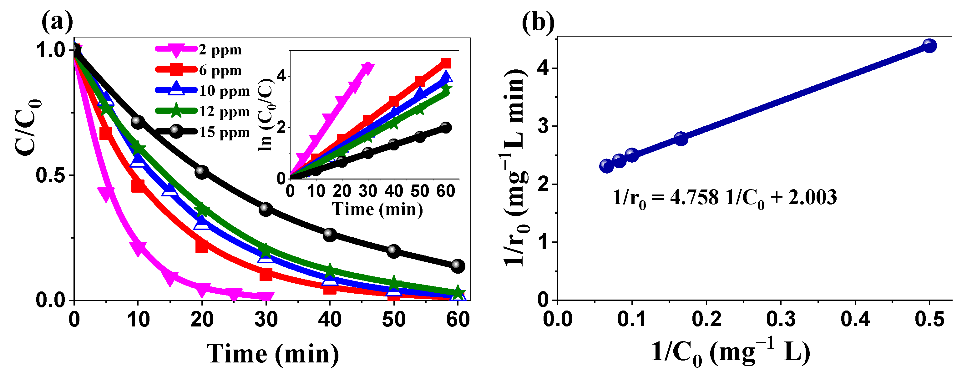 Ijms 26 00859 g009 Ijms 26 00859 g009
