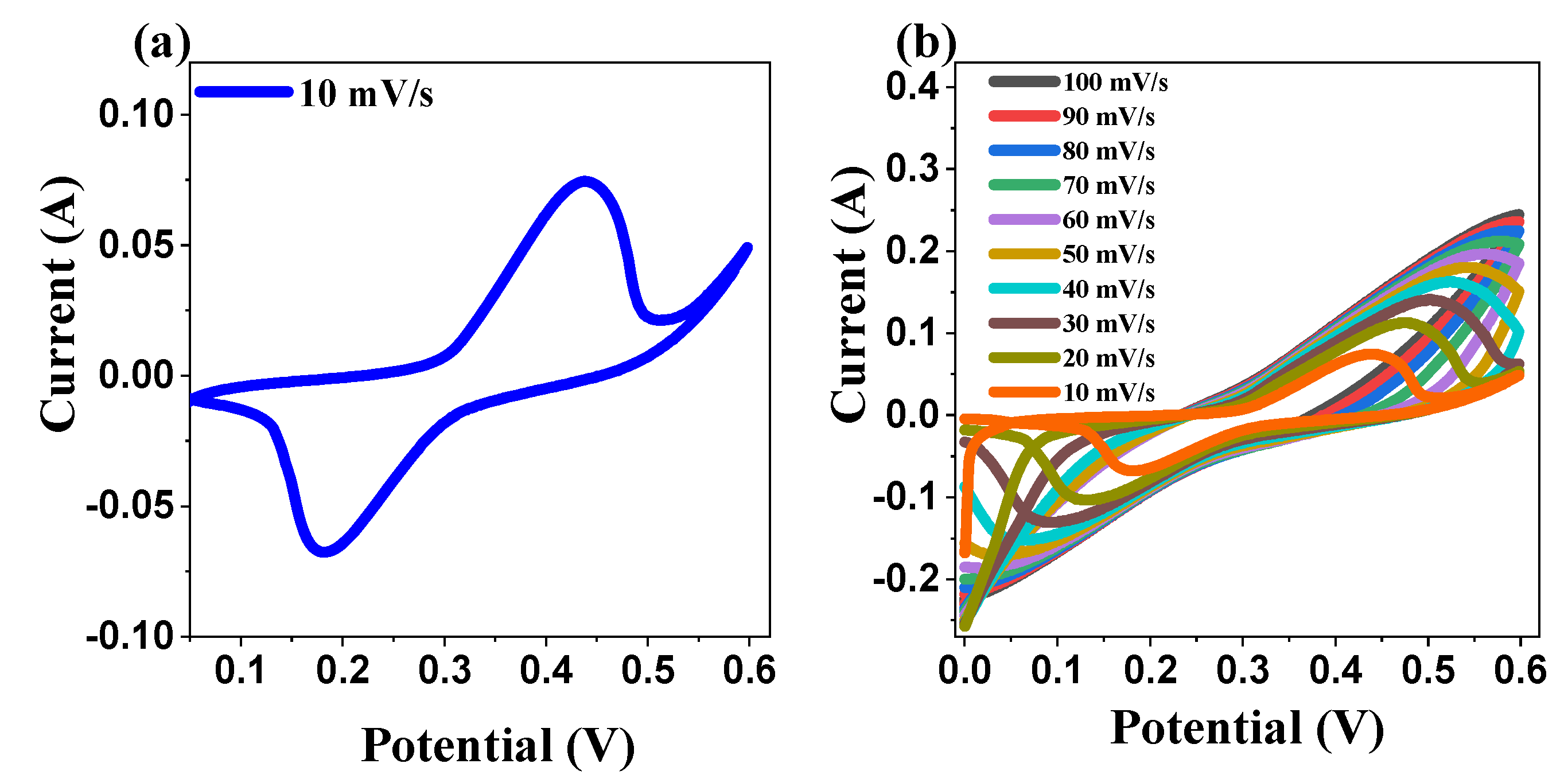 Ijms 26 00859 g012 Ijms 26 00859 g012