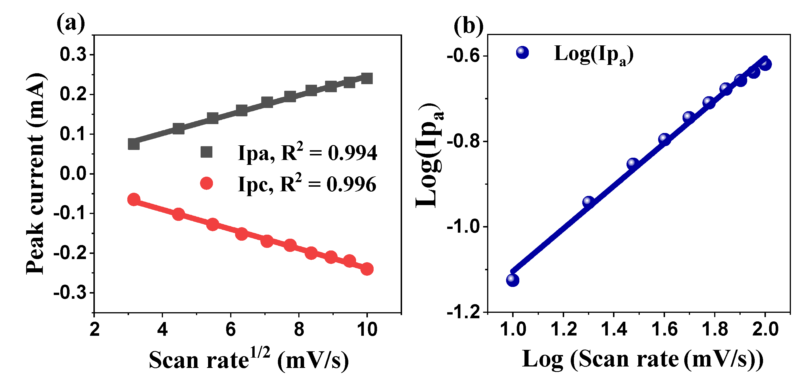 Ijms 26 00859 g013 Ijms 26 00859 g013