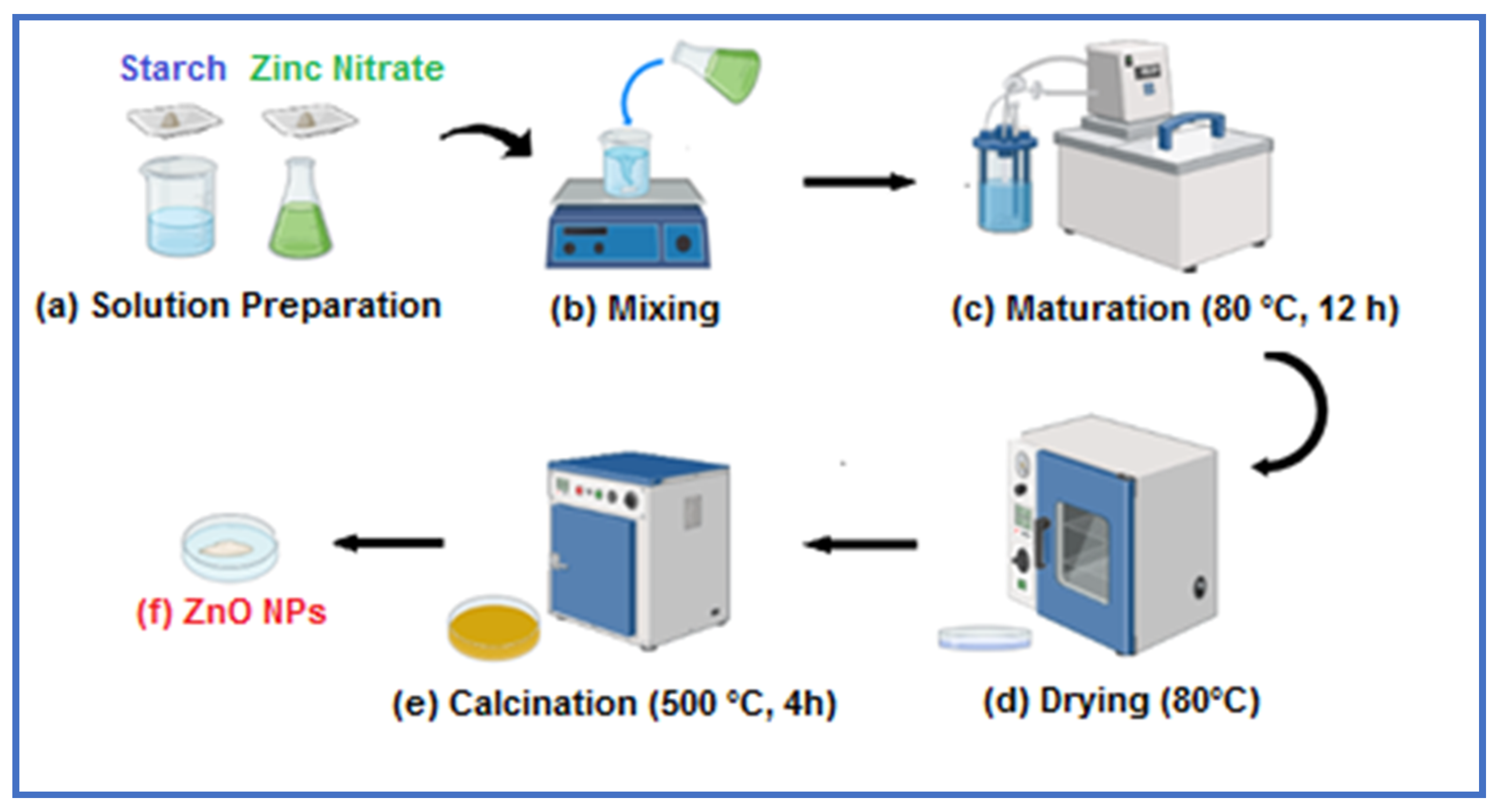Ijms 26 00859 g017 Ijms 26 00859 g017