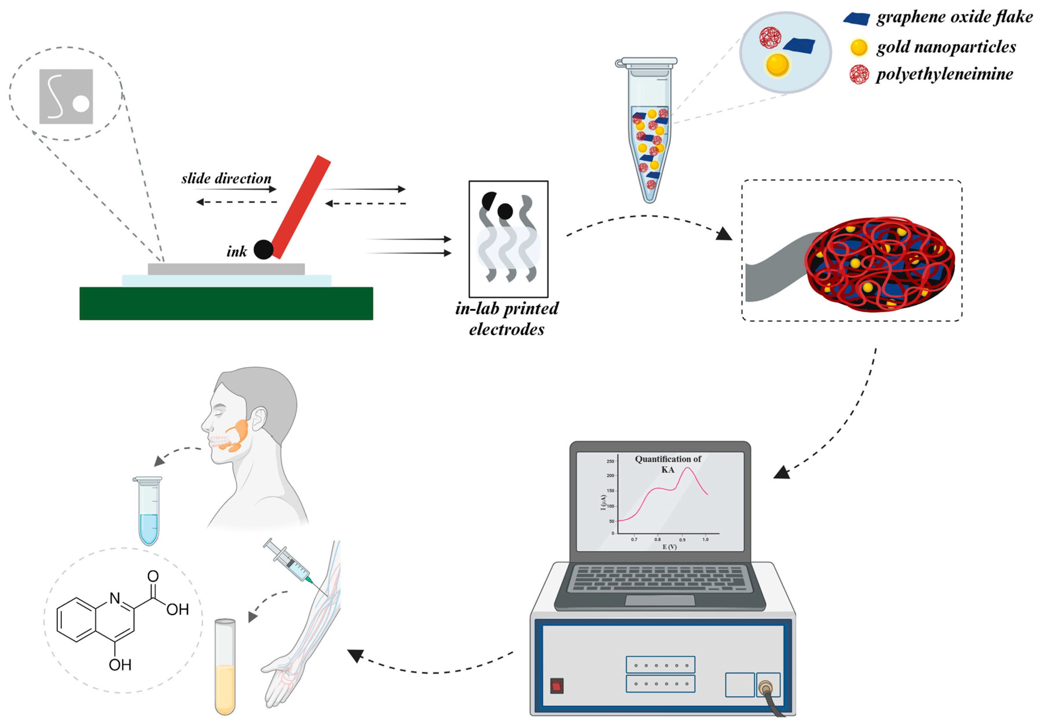 Ijms 26 00913 sch001