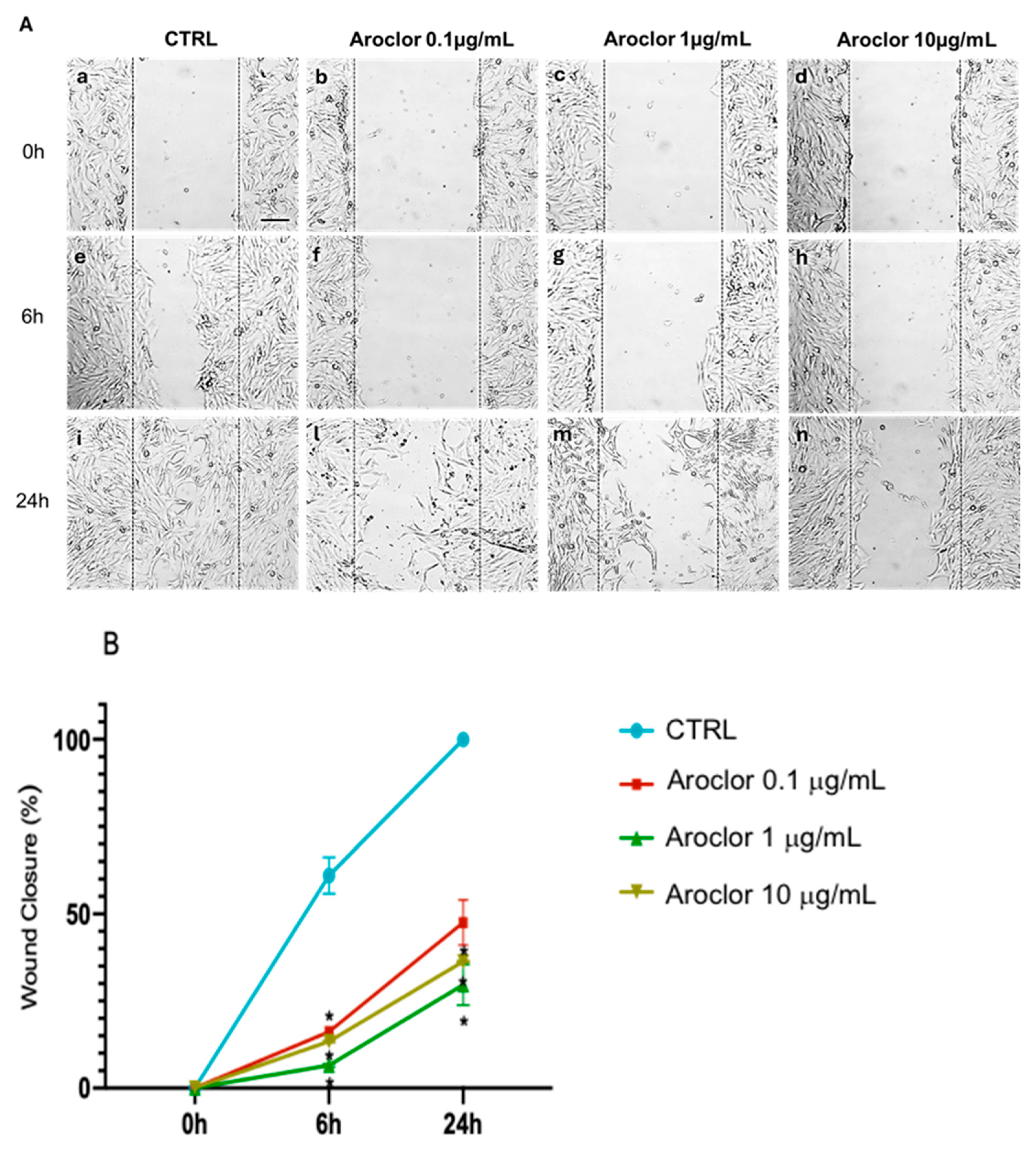 Ijms 26 00916 g003 Ijms 26 00916 g003