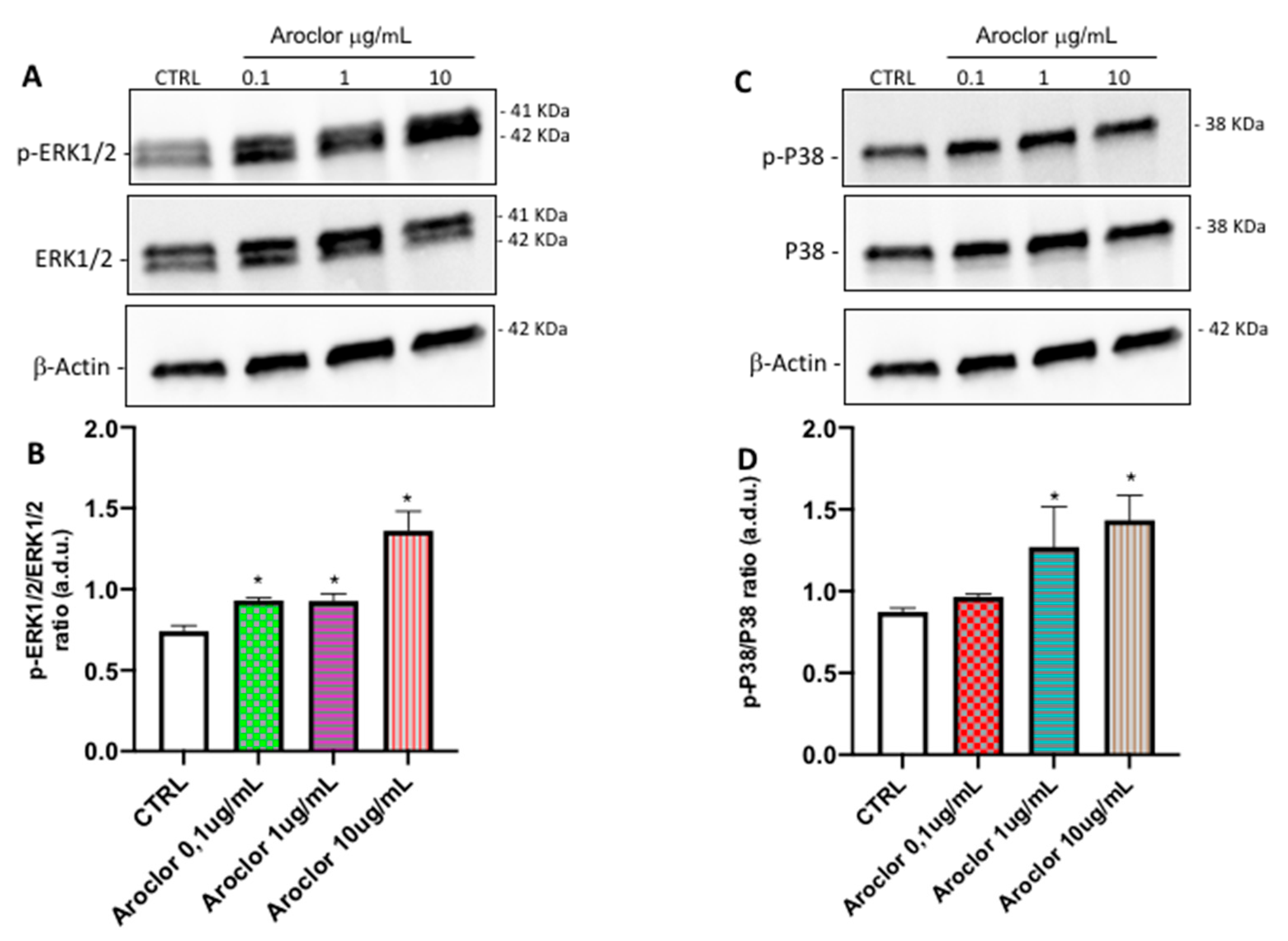 Ijms 26 00916 g005 Ijms 26 00916 g005