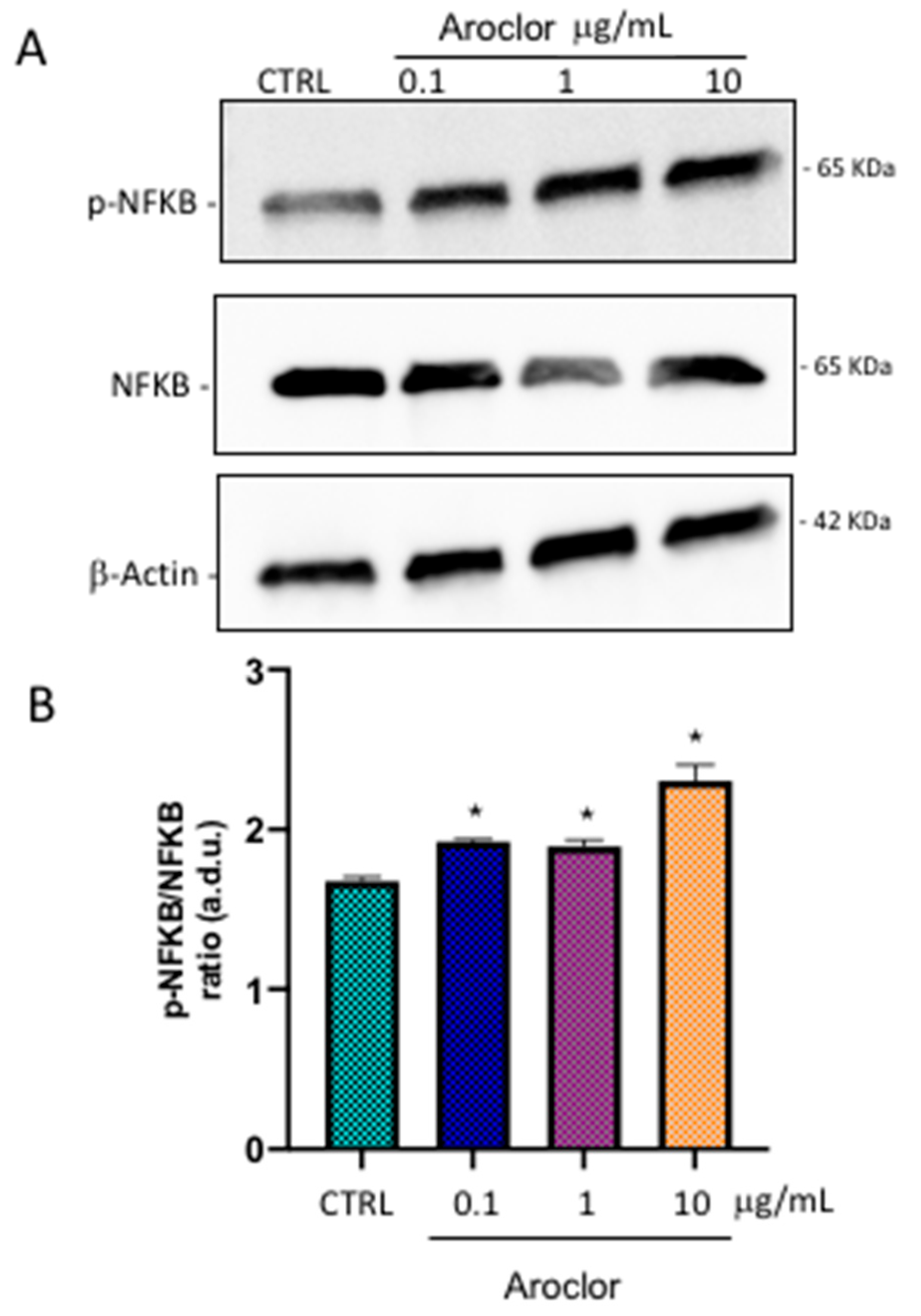 Ijms 26 00916 g007 Ijms 26 00916 g007