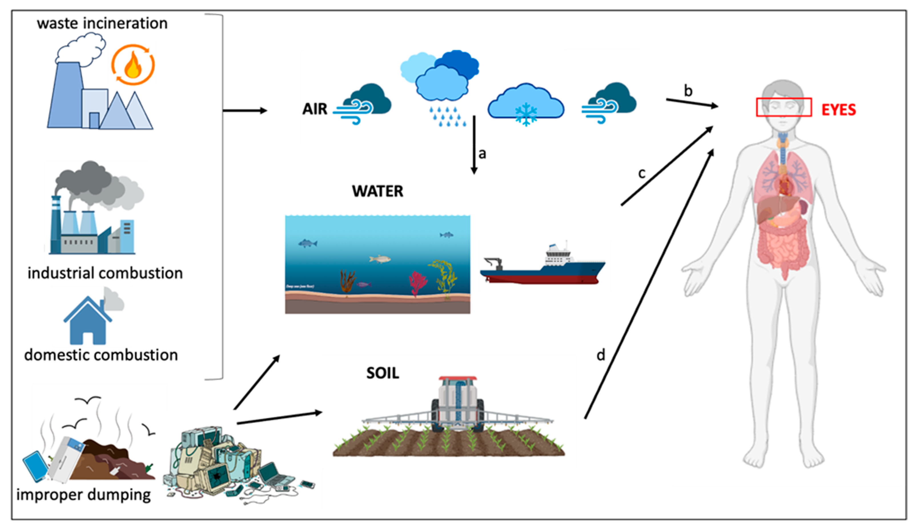 Ijms 26 00916 g008 Ijms 26 00916 g008