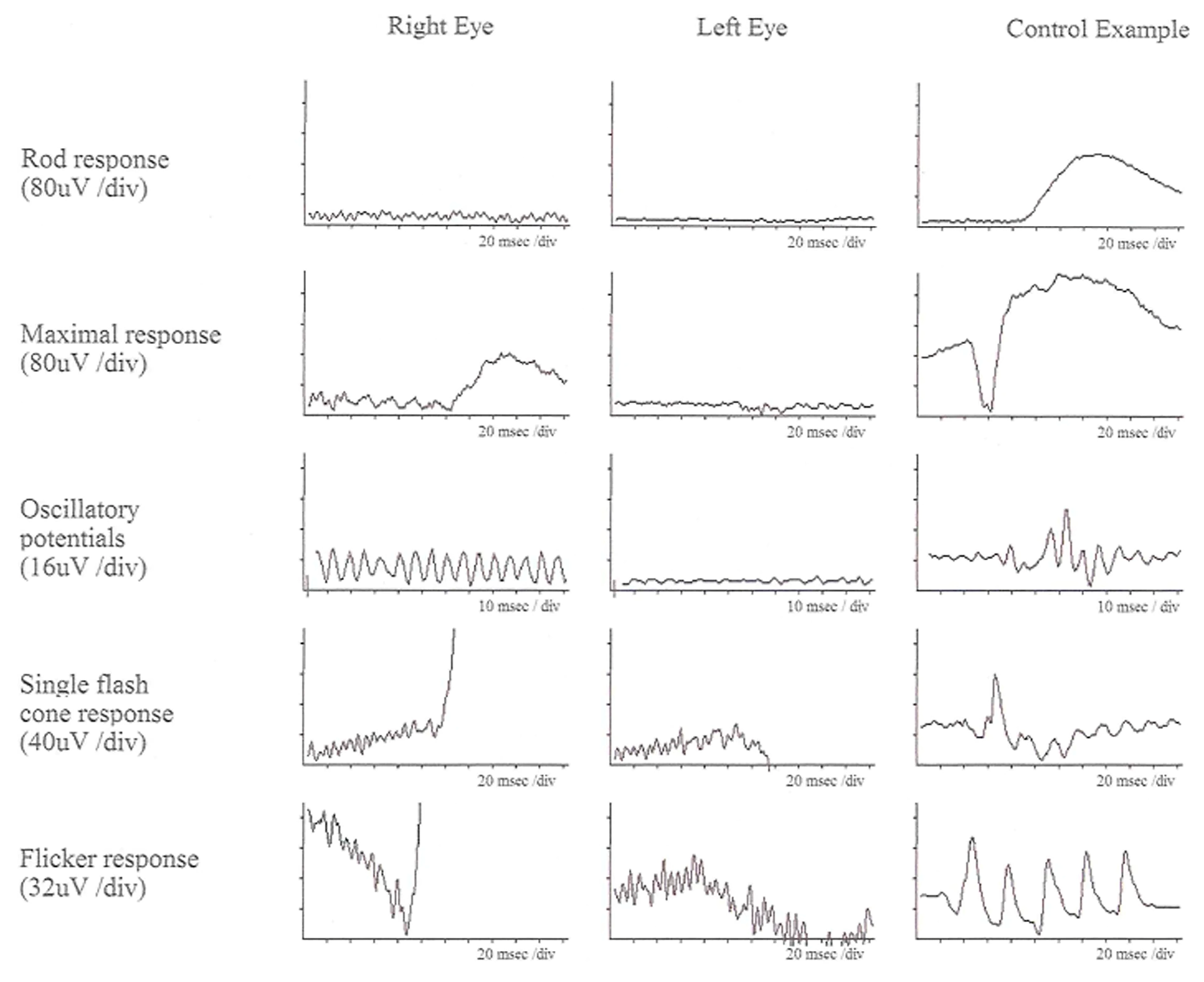 Ijms 26 00957 g002 Ijms 26 00957 g002