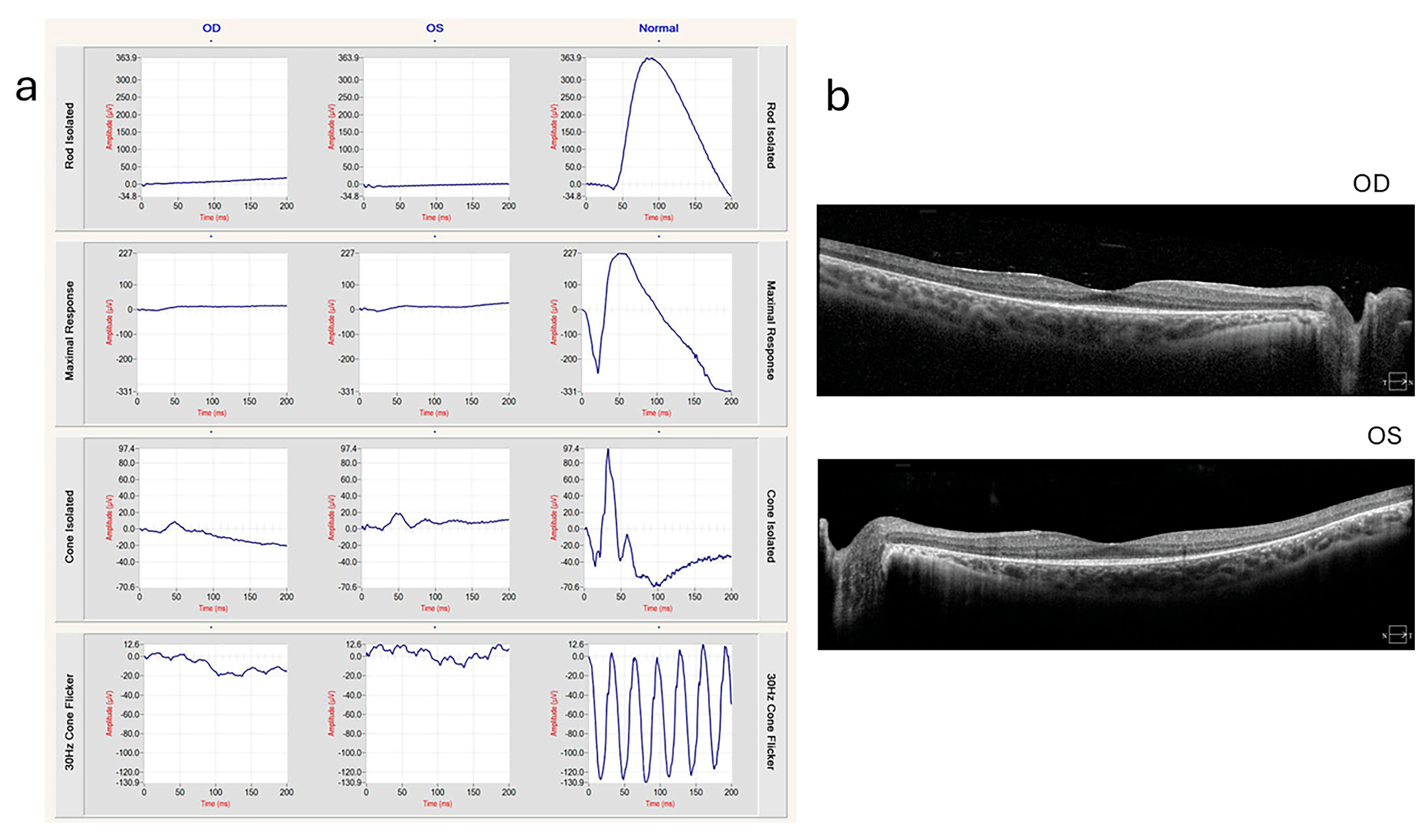 Ijms 26 00957 g003 Ijms 26 00957 g003
