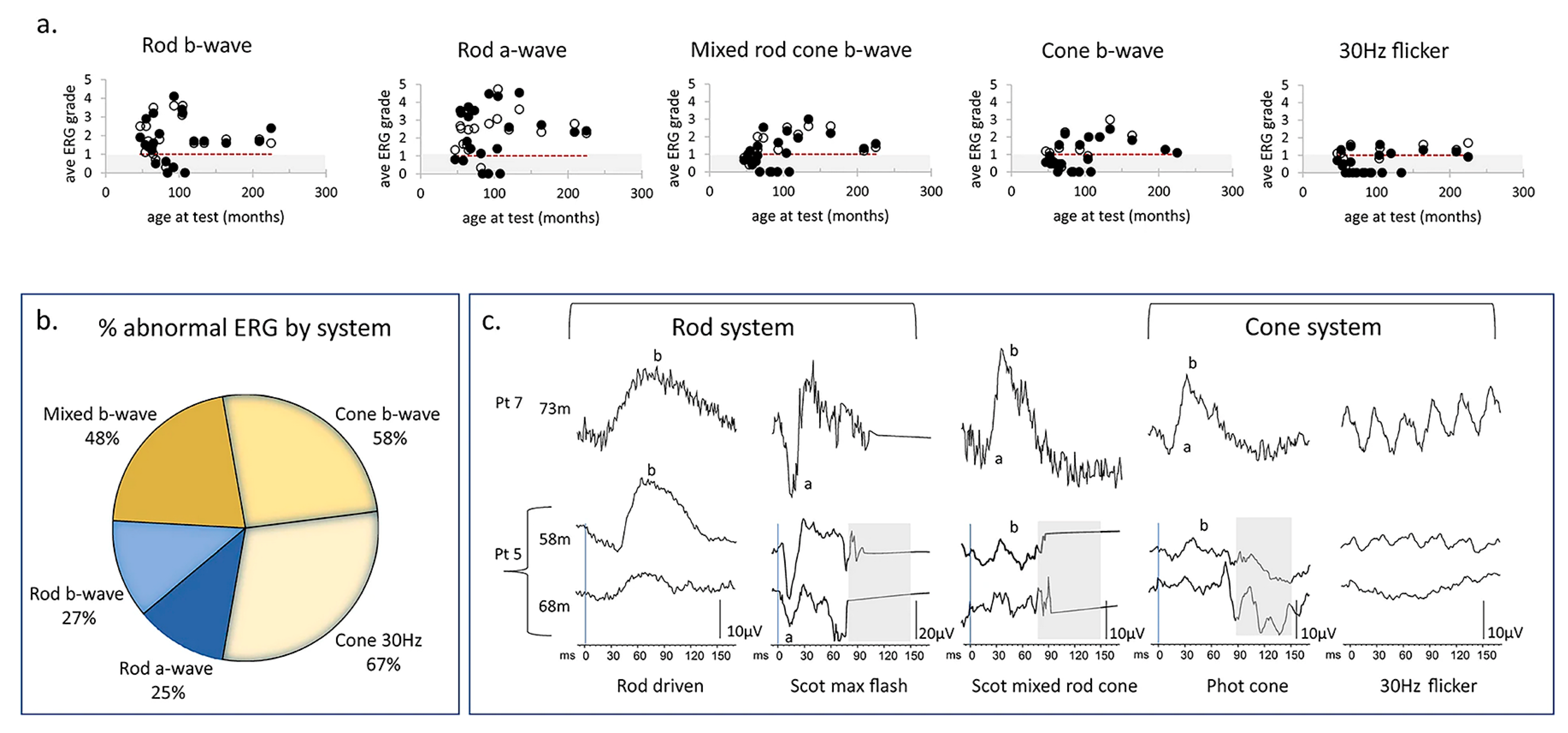 Ijms 26 00957 g008 Ijms 26 00957 g008