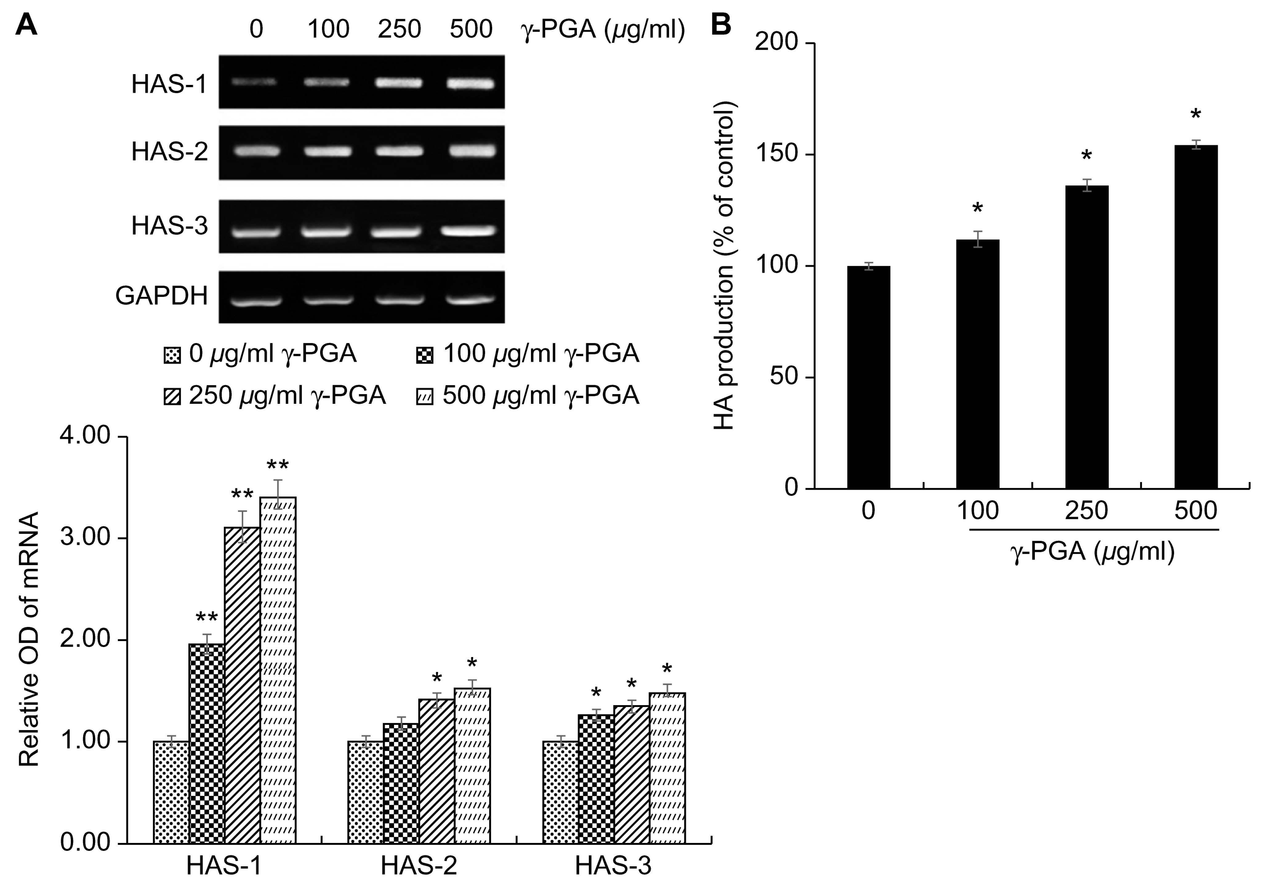 Ijms 26 00983 g005